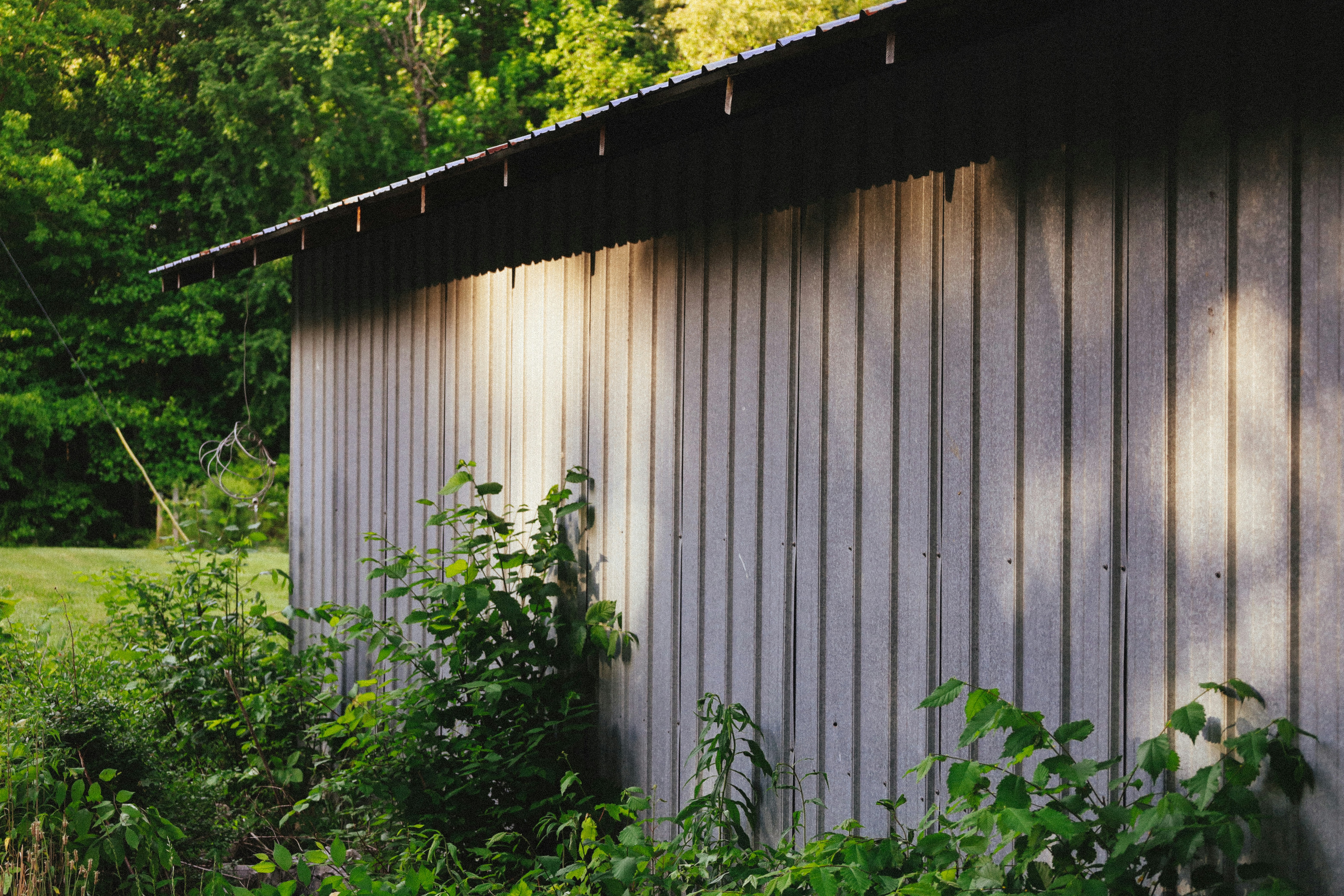 Photo by rosemarymedia