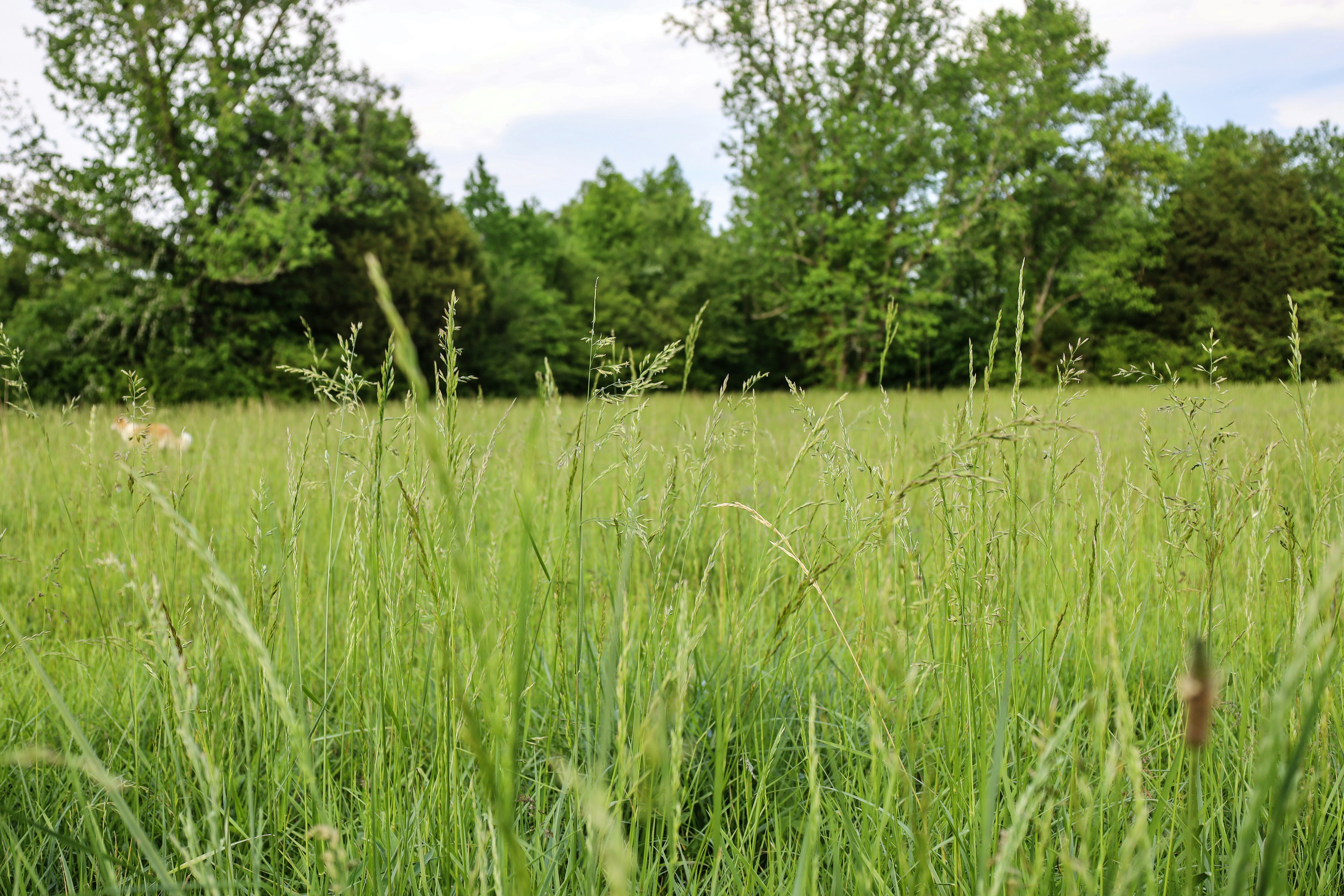 Photo by rosemarymedia