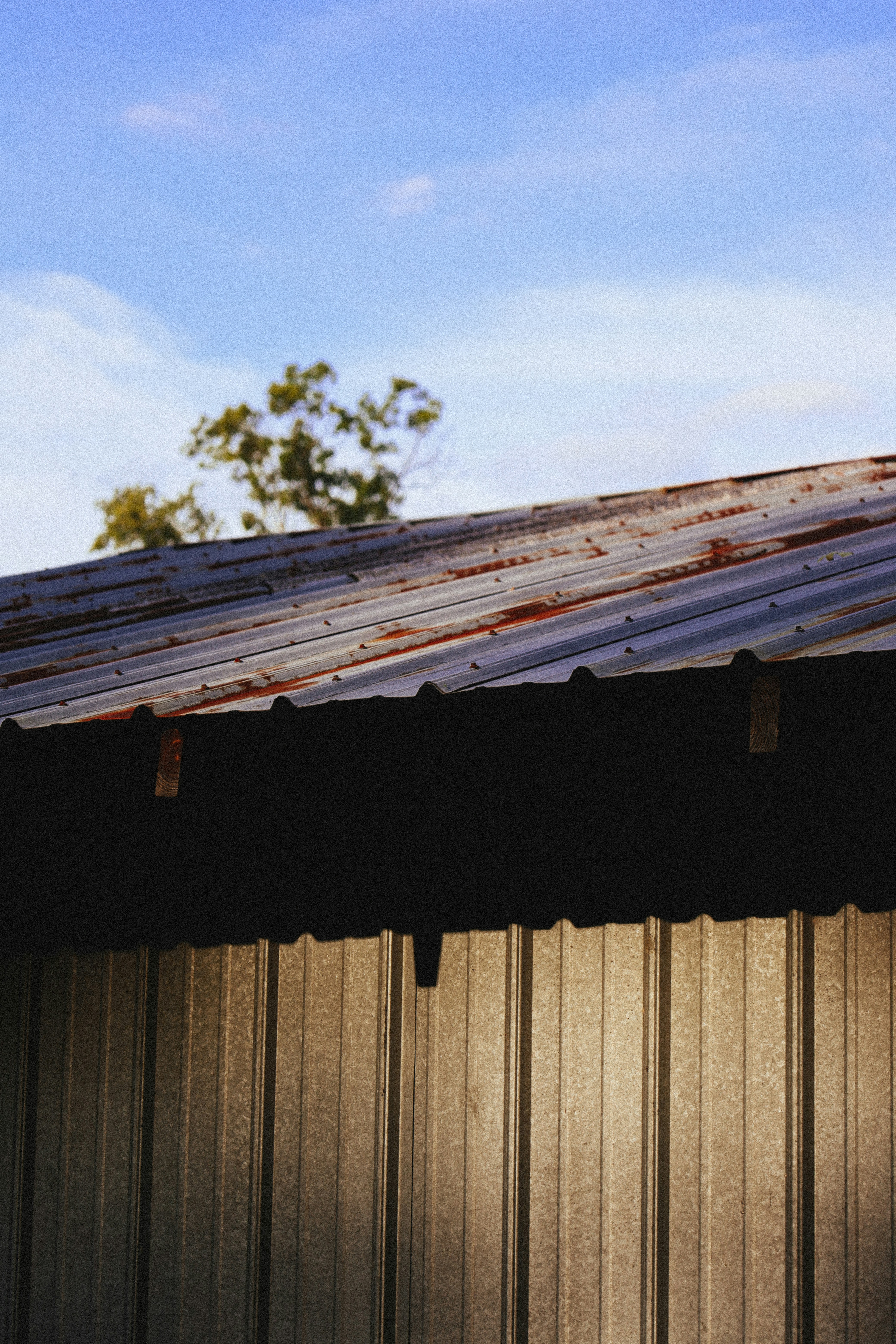 Photo by rosemarymedia