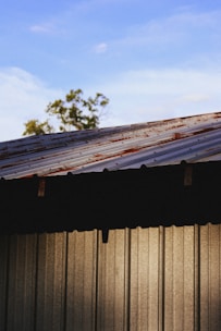 A corrugated metal roof with rust spots is partially visible, covering a structure made of similar vertical metal panels. The clear blue sky is in the background, with a small portion of green foliage from a distant tree visible at the edge.