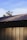 A corrugated metal roof with rust spots is partially visible, covering a structure made of similar vertical metal panels. The clear blue sky is in the background, with a small portion of green foliage from a distant tree visible at the edge.