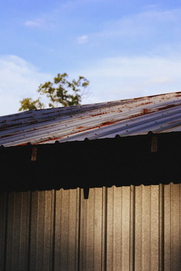 a tree on top of a fence