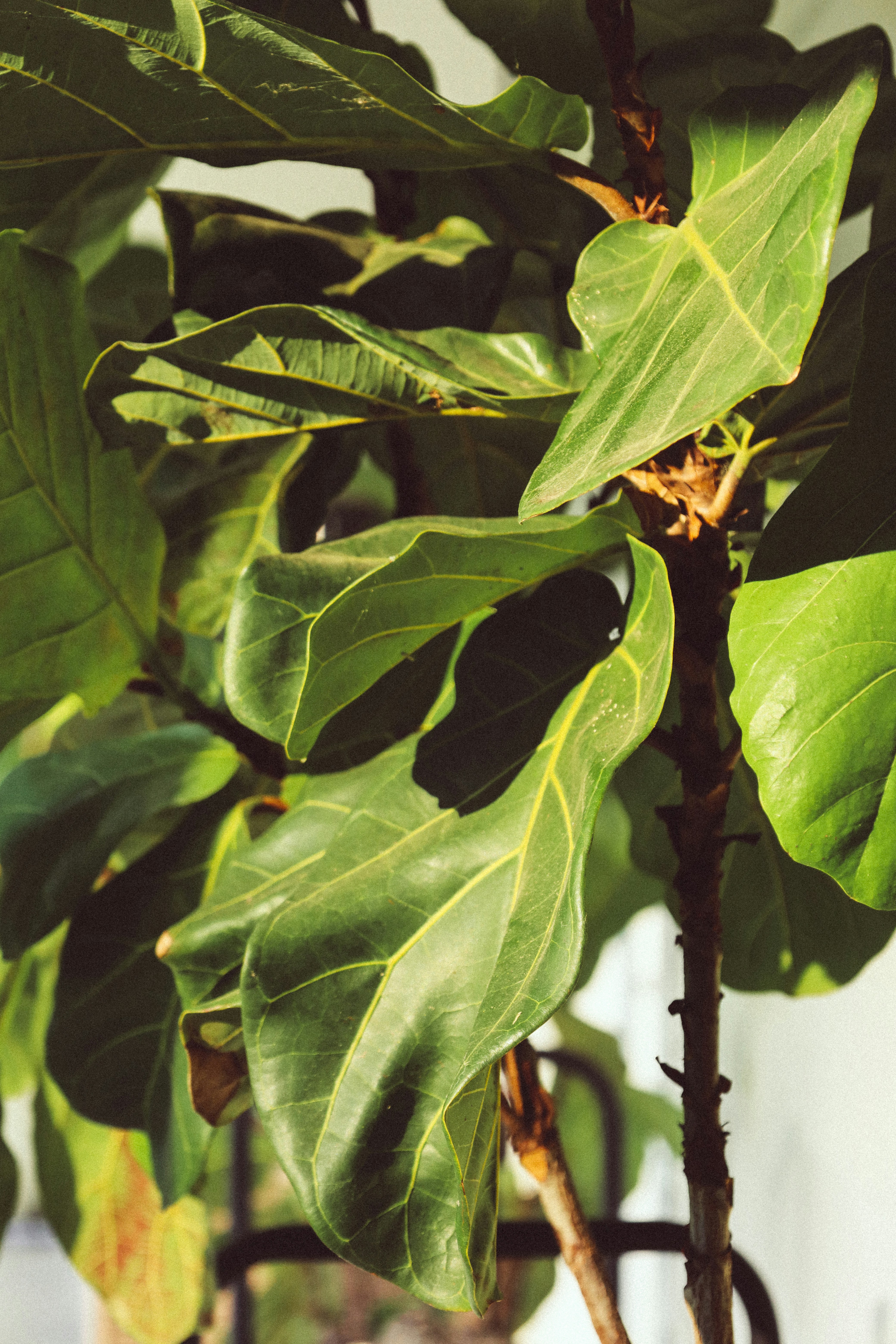 Photo by rosemarymedia