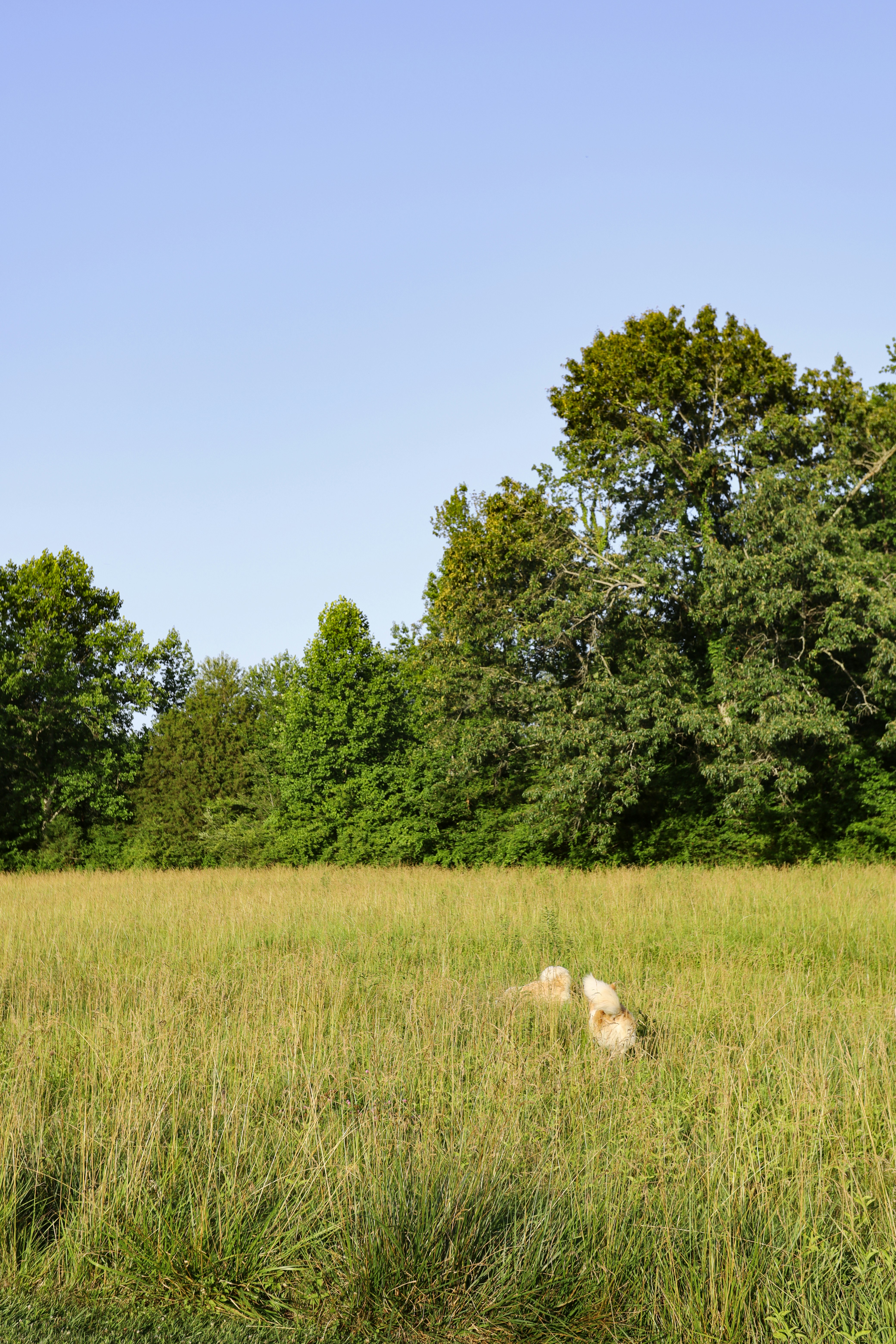 Photo by rosemarymedia