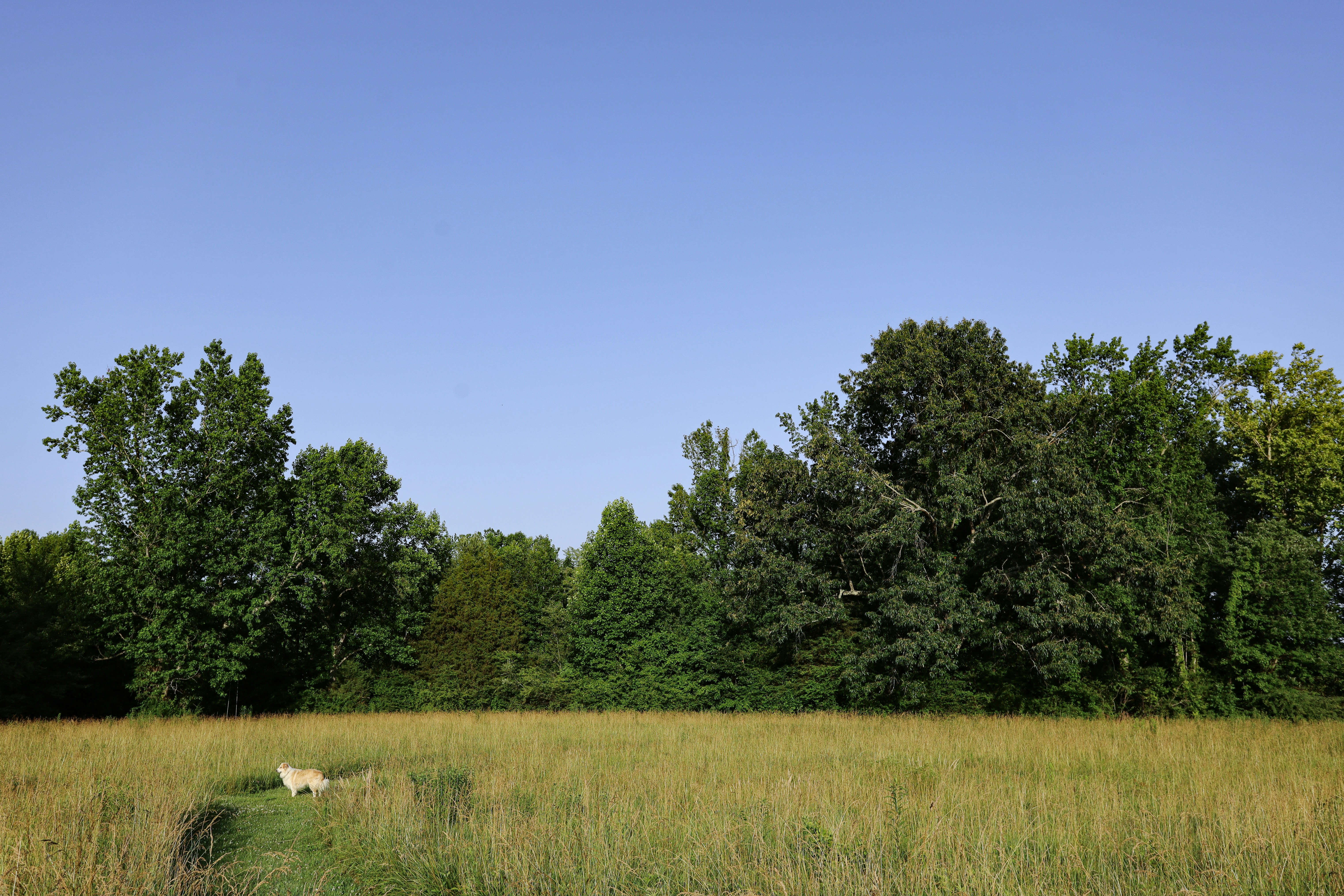 Photo by rosemarymedia