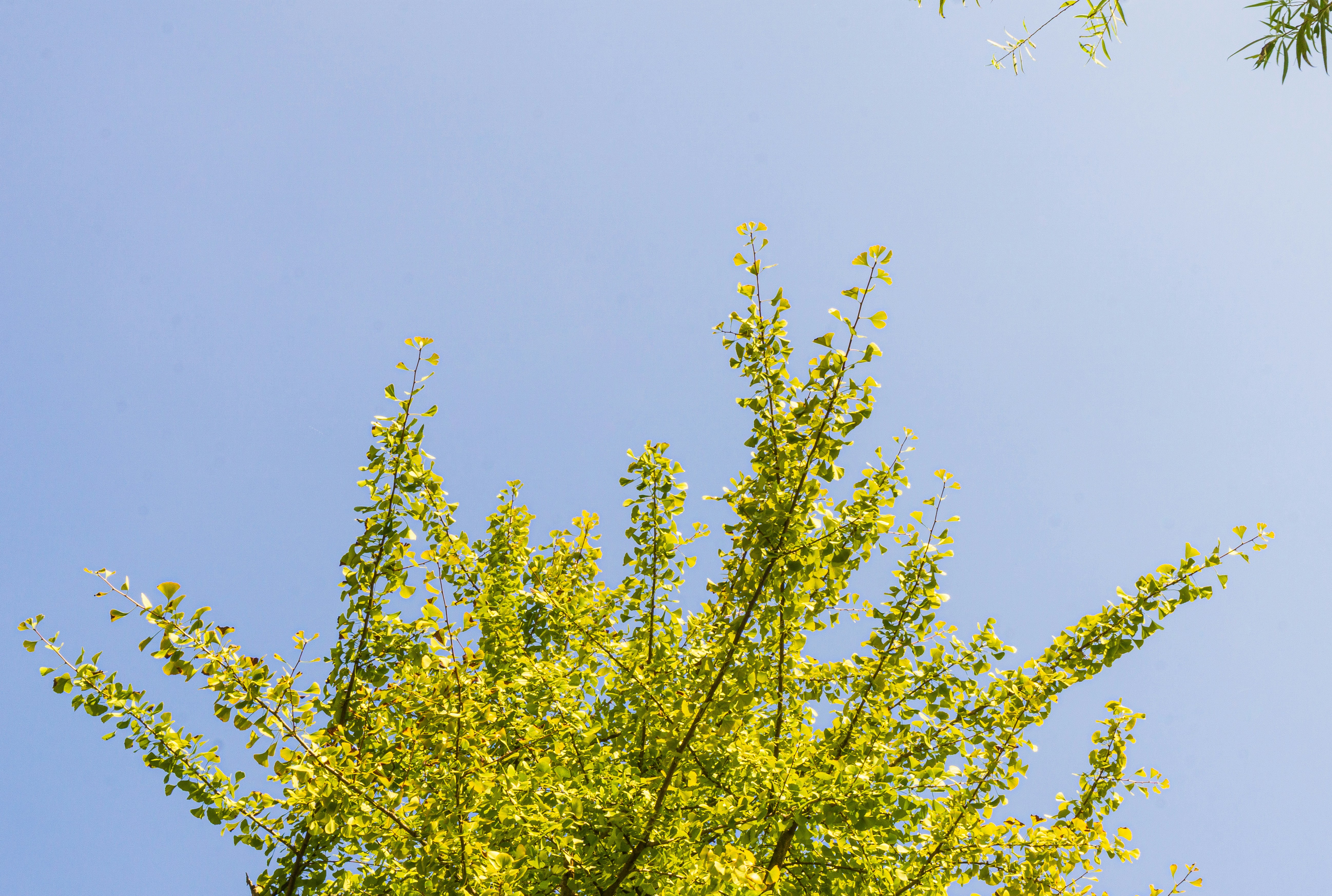 Photo by helloworld_xwb