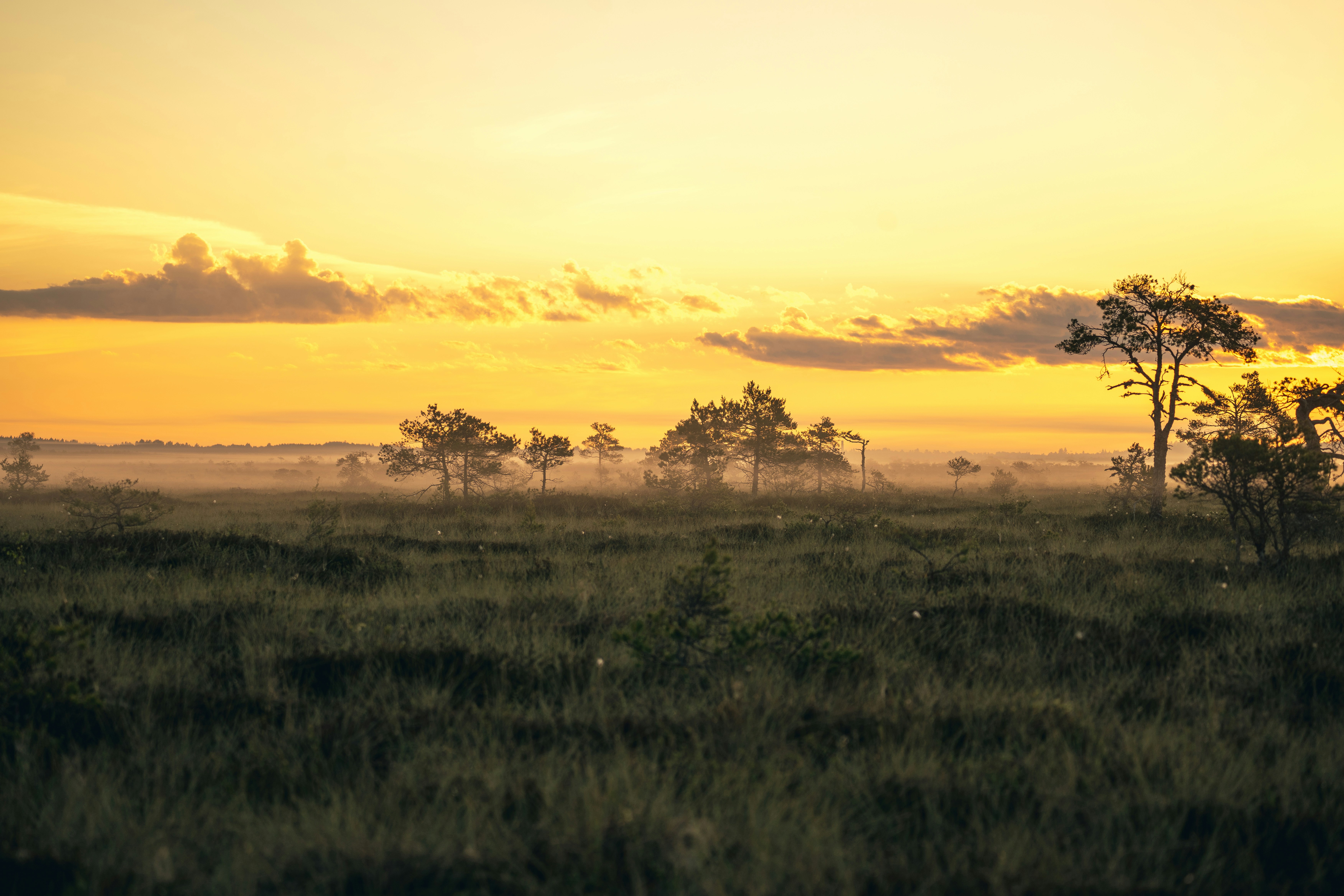 Photo by janekvaldsalu