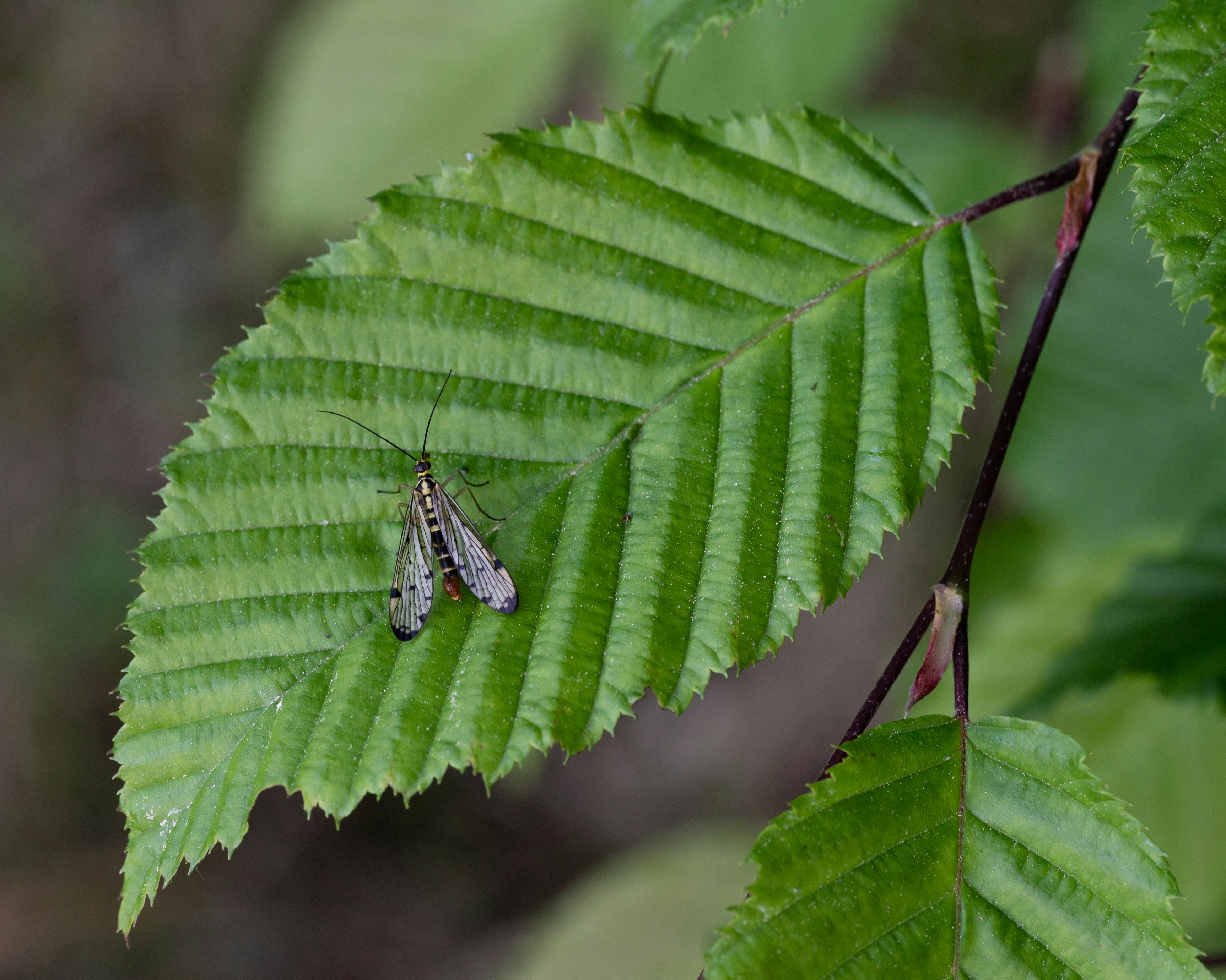 Photo by carrie_borden