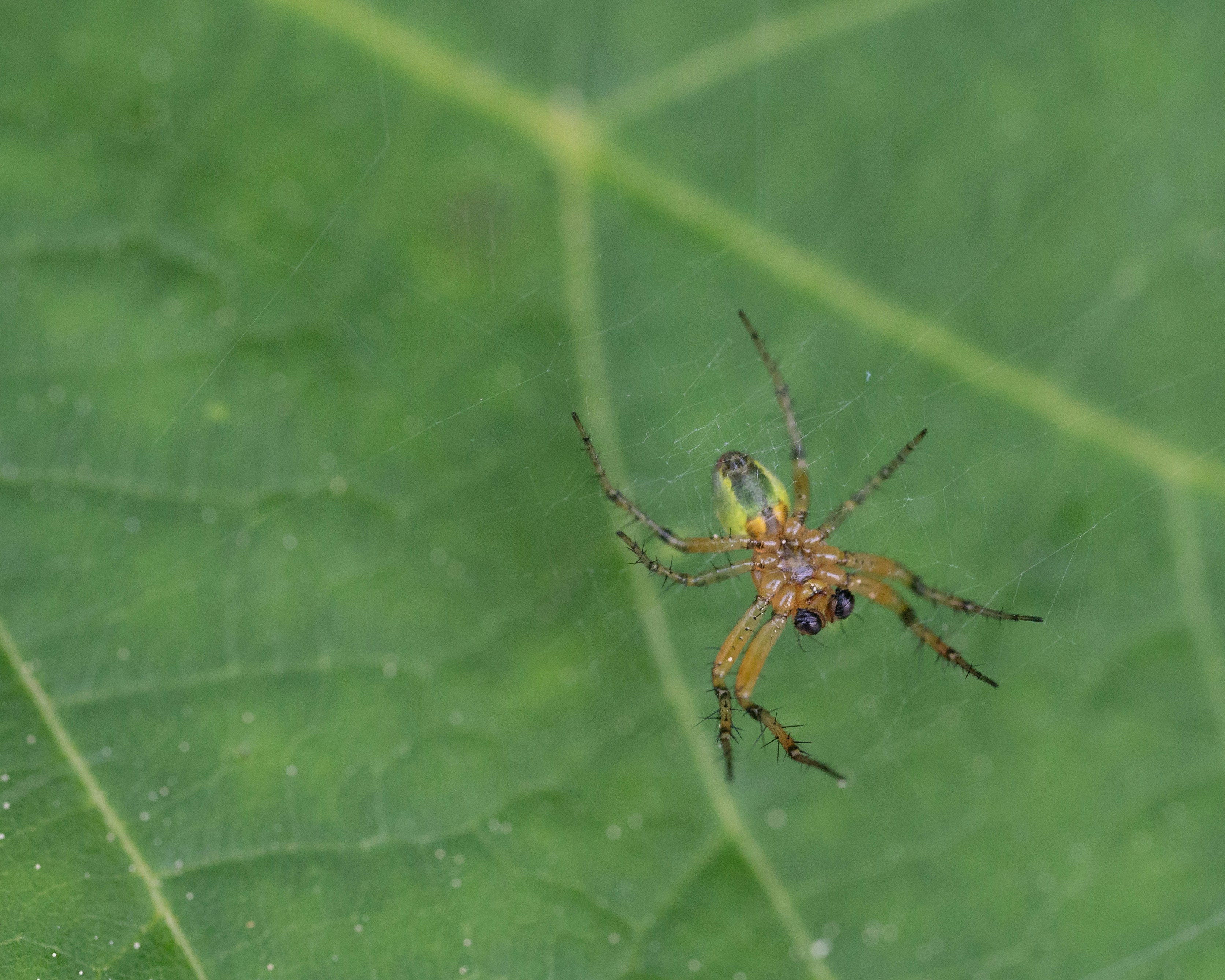 Photo by carrie_borden