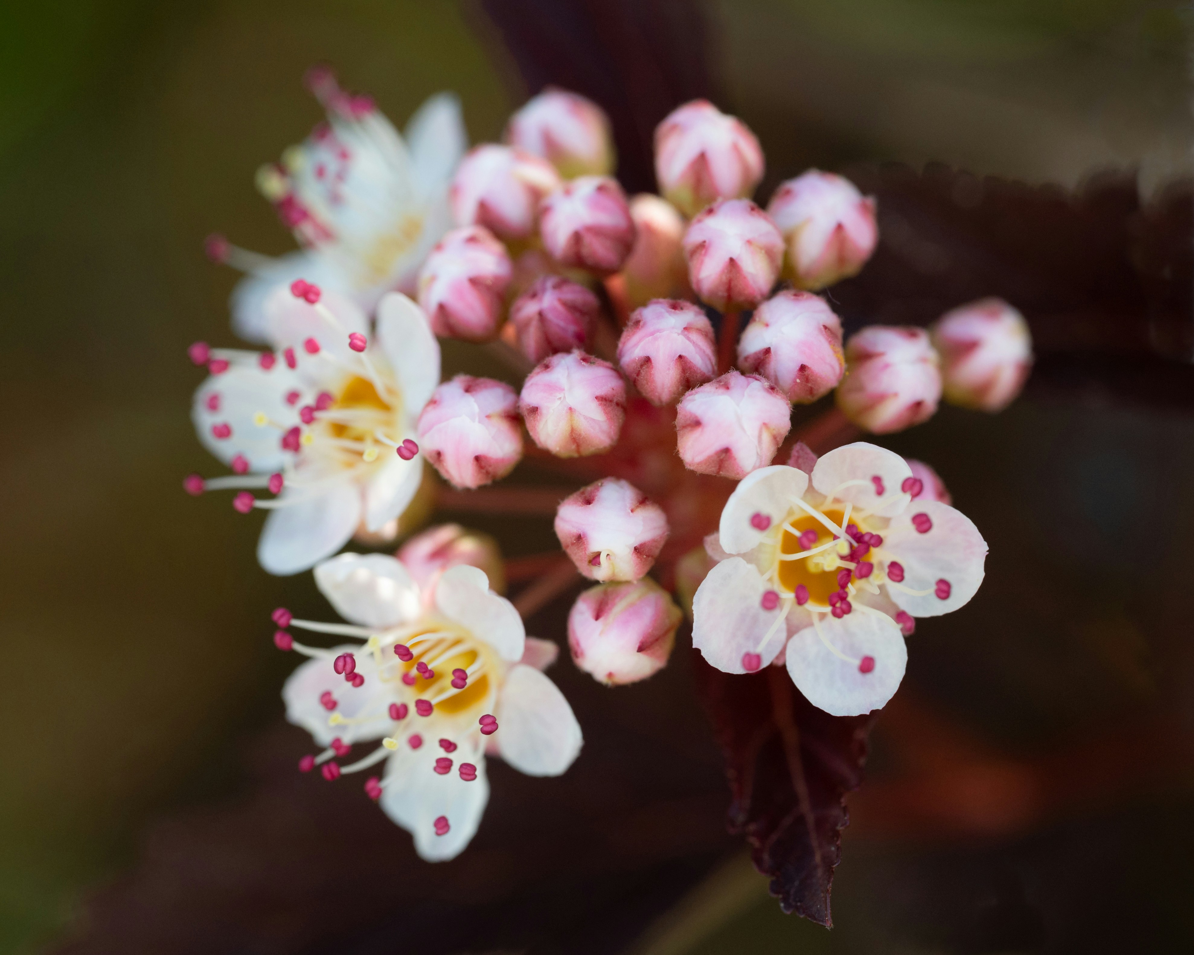 Photo by carrie_borden