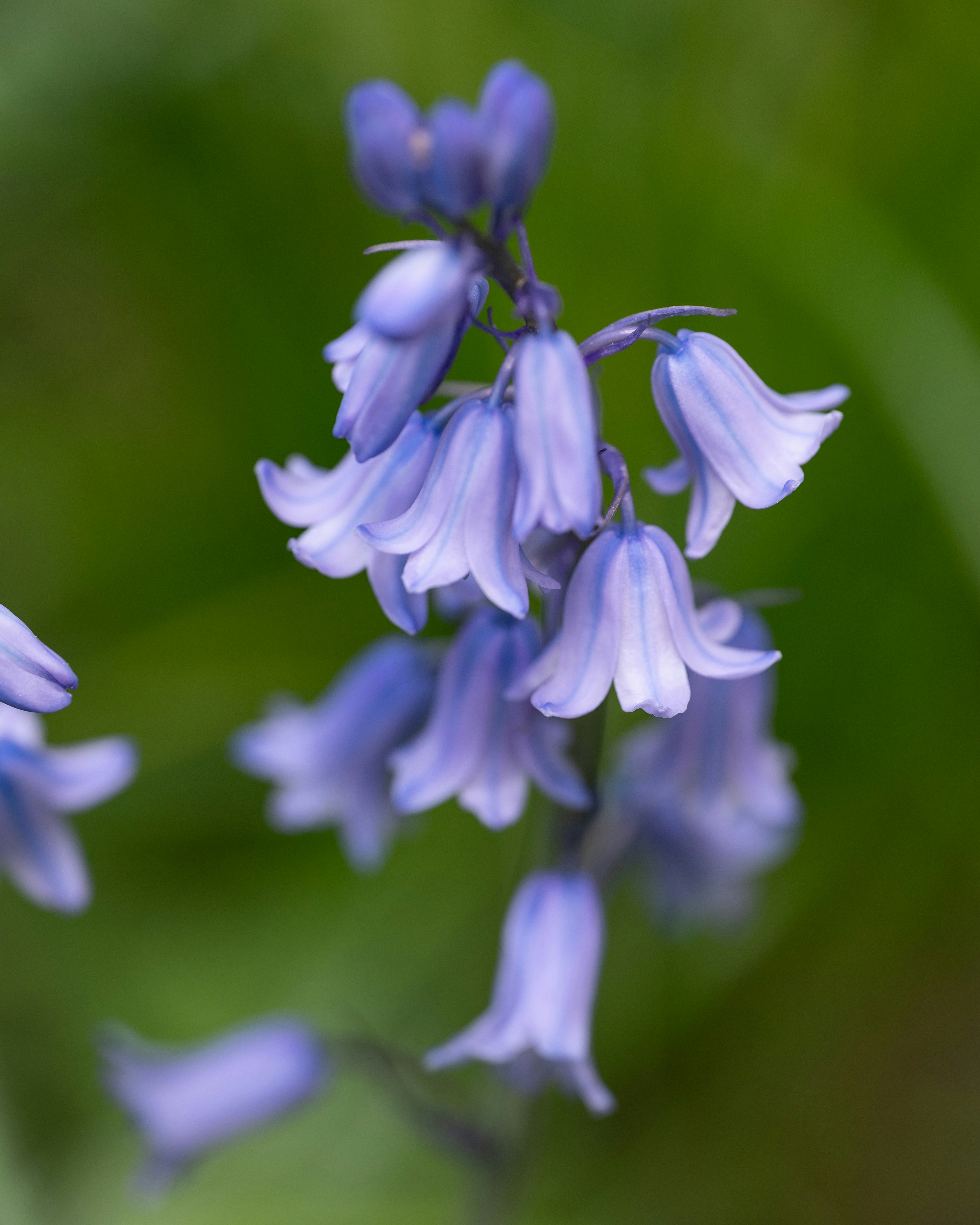 Photo by carrie_borden