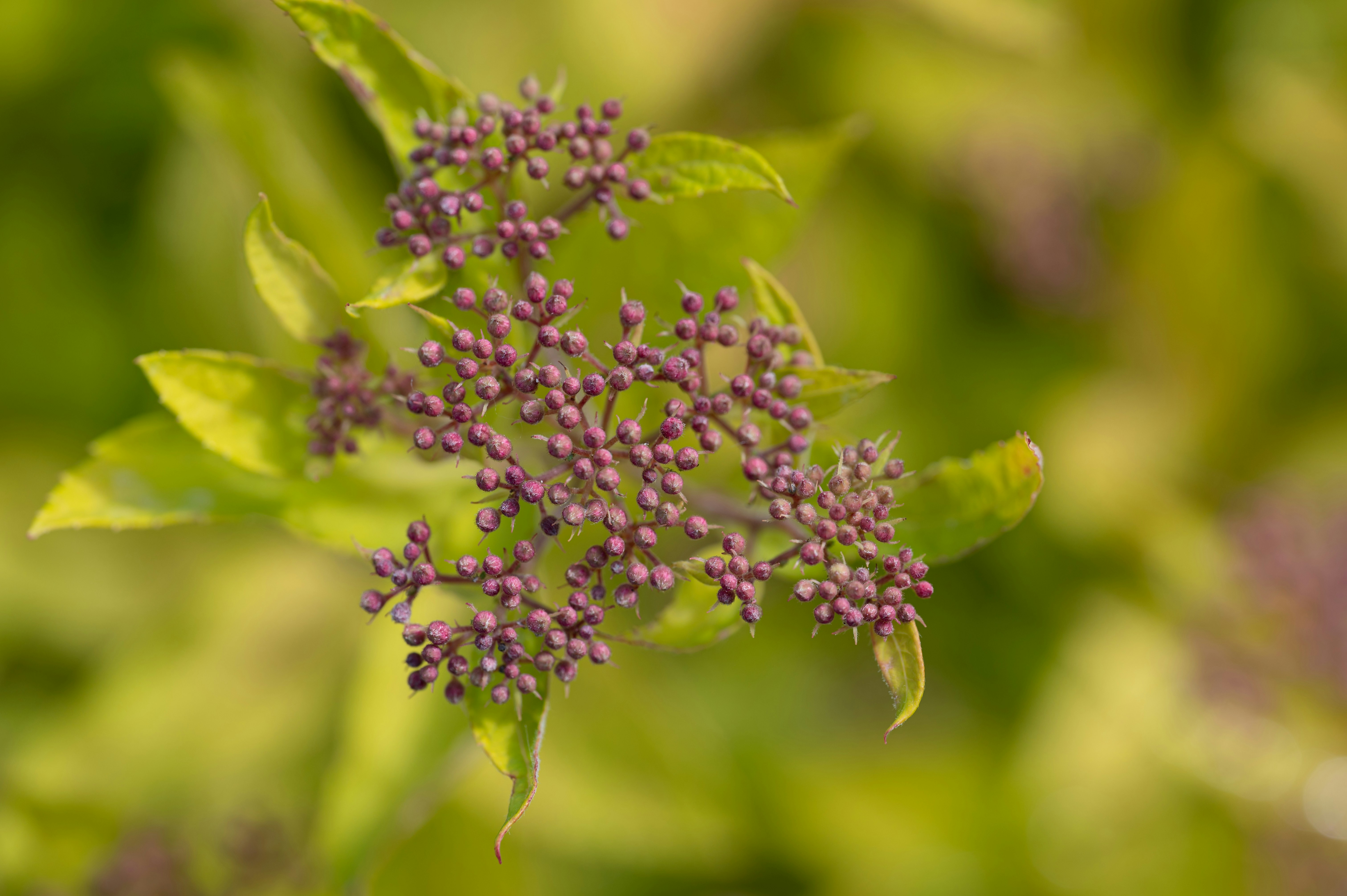 Photo by carrie_borden