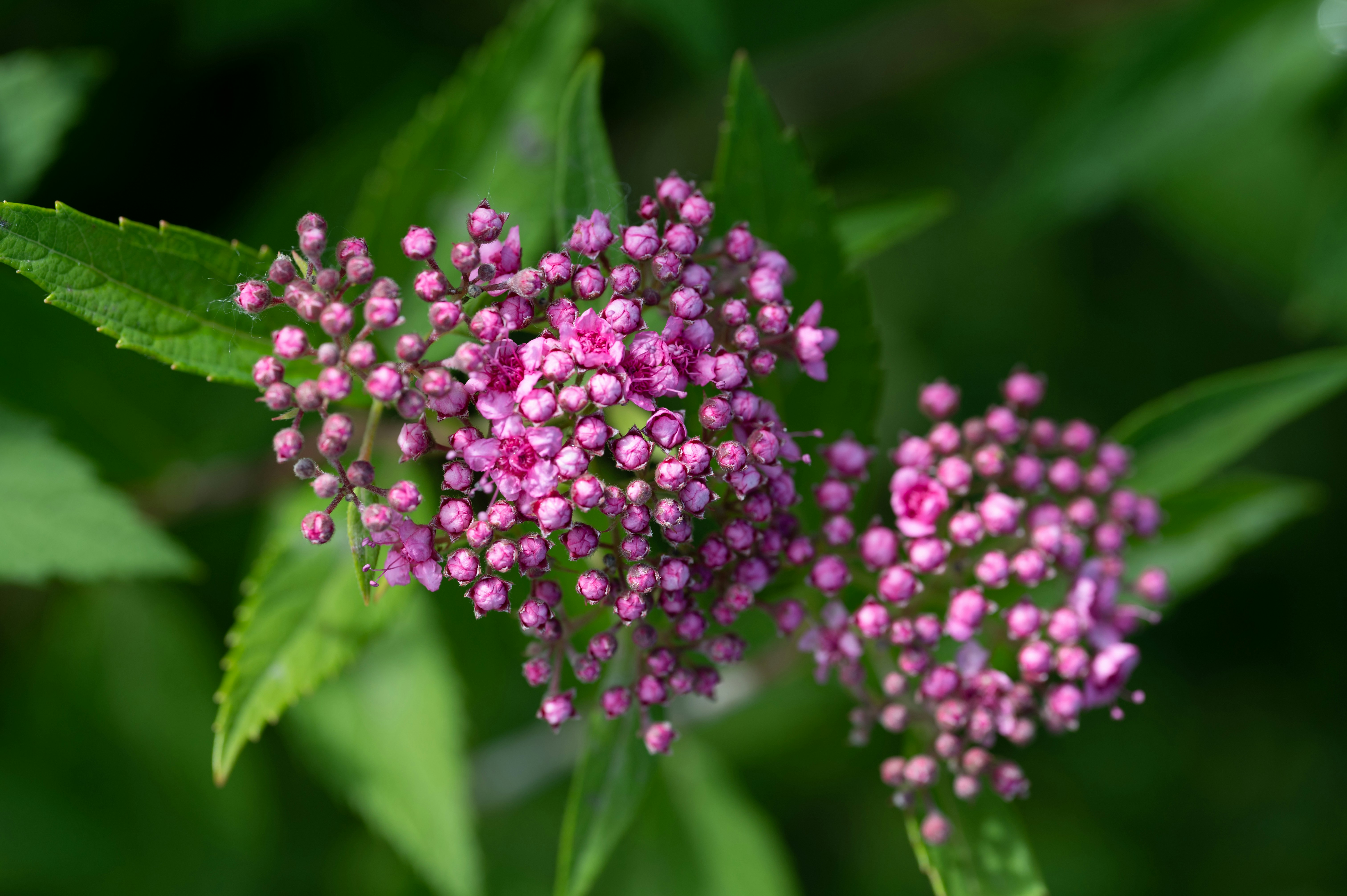 Photo by carrie_borden