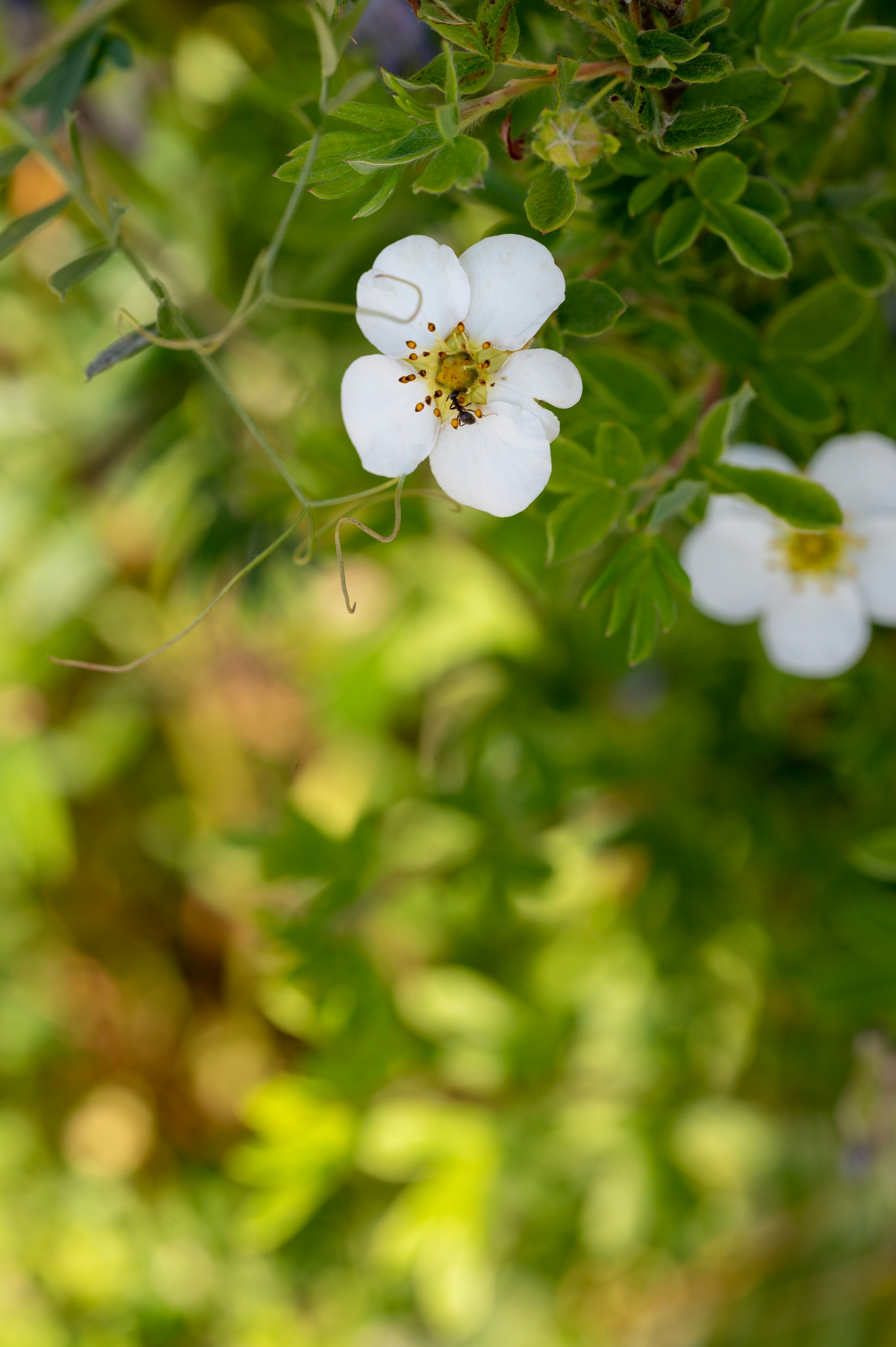 Photo by carrie_borden