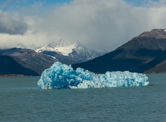 A serene view of a pristine ocean with icebergs floating in the foreground and a clear blue sky above.