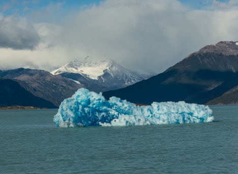 A serene view of a pristine ocean with icebergs floating in the foreground and a clear blue sky above.