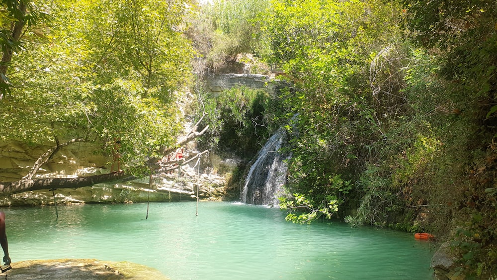 Una cascada con árboles en el lado de un río