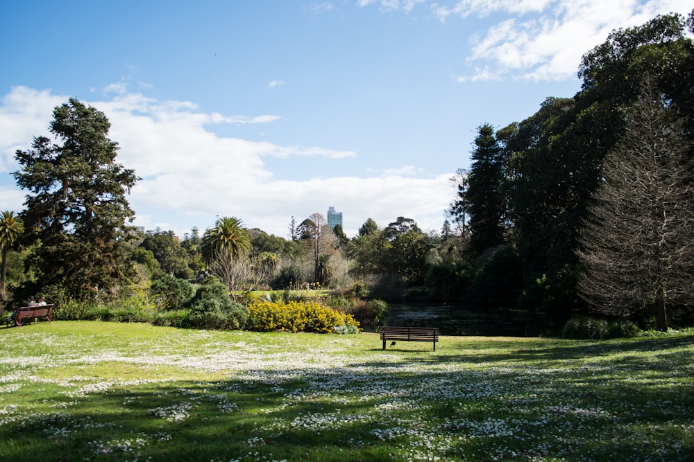 a park with benches