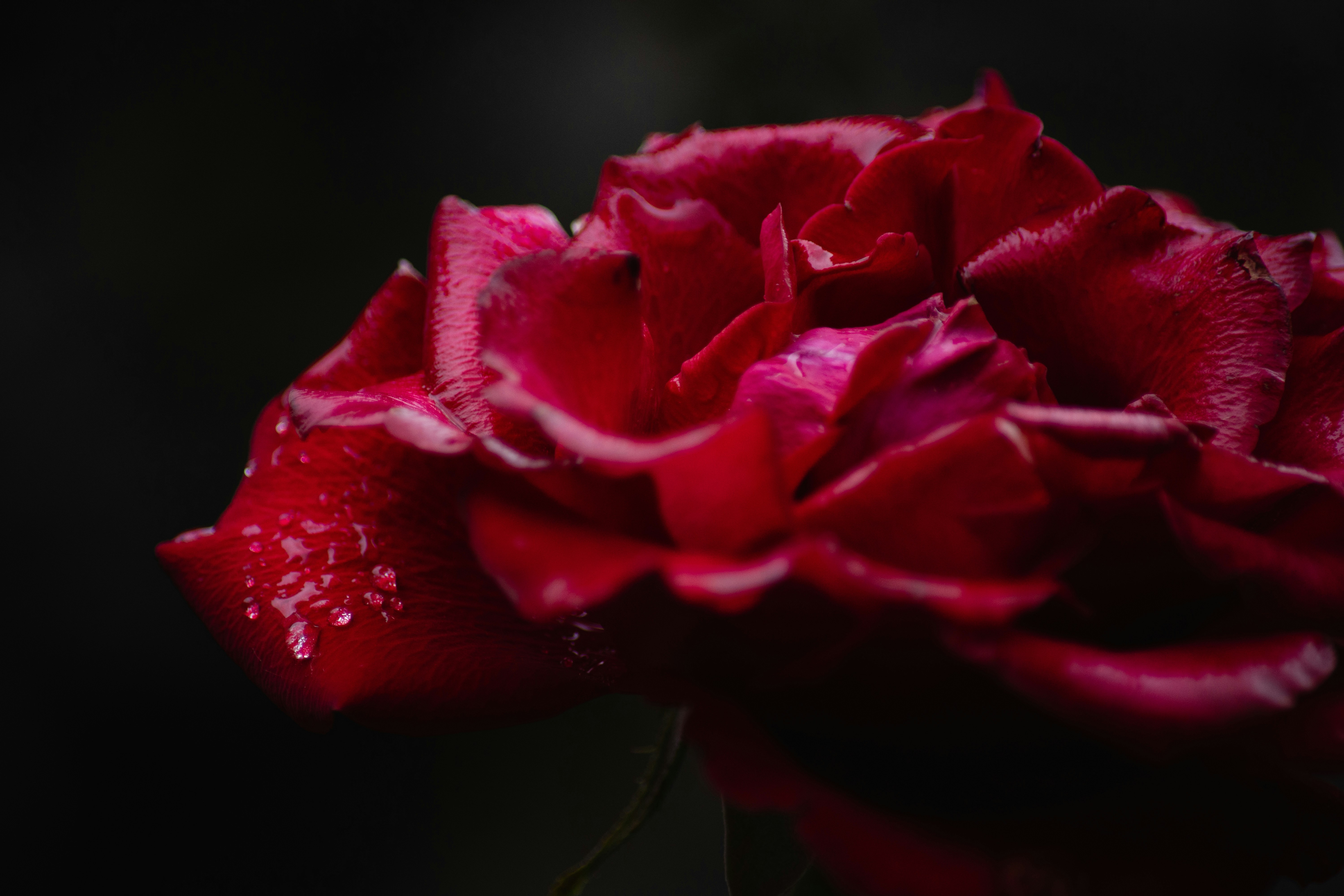 Photo by nacho_velmont