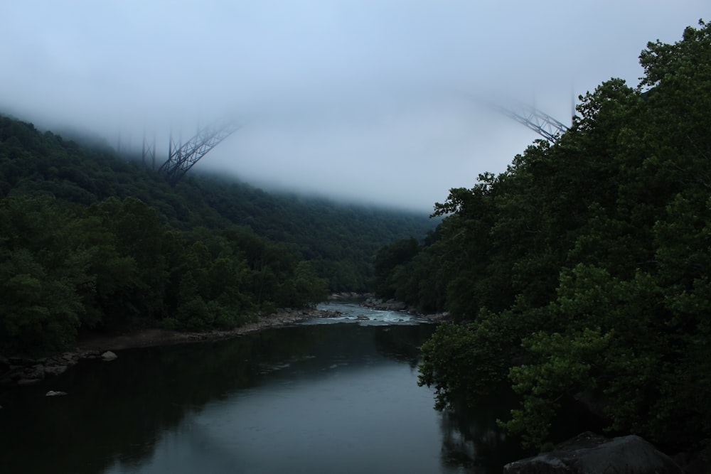 a river with trees on the side