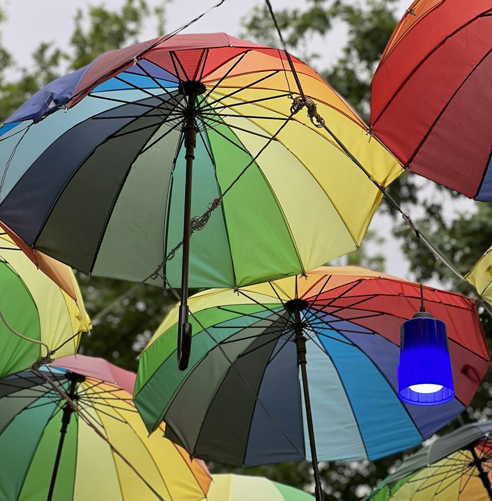 several colorful umbrellas from a tree