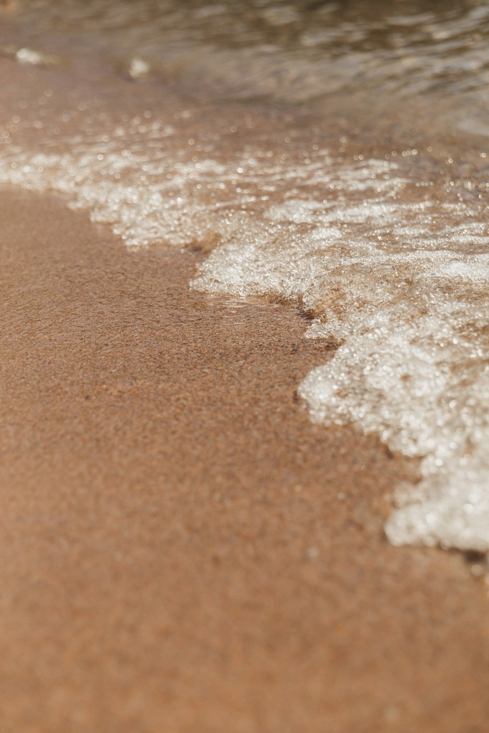 a close up of a beach