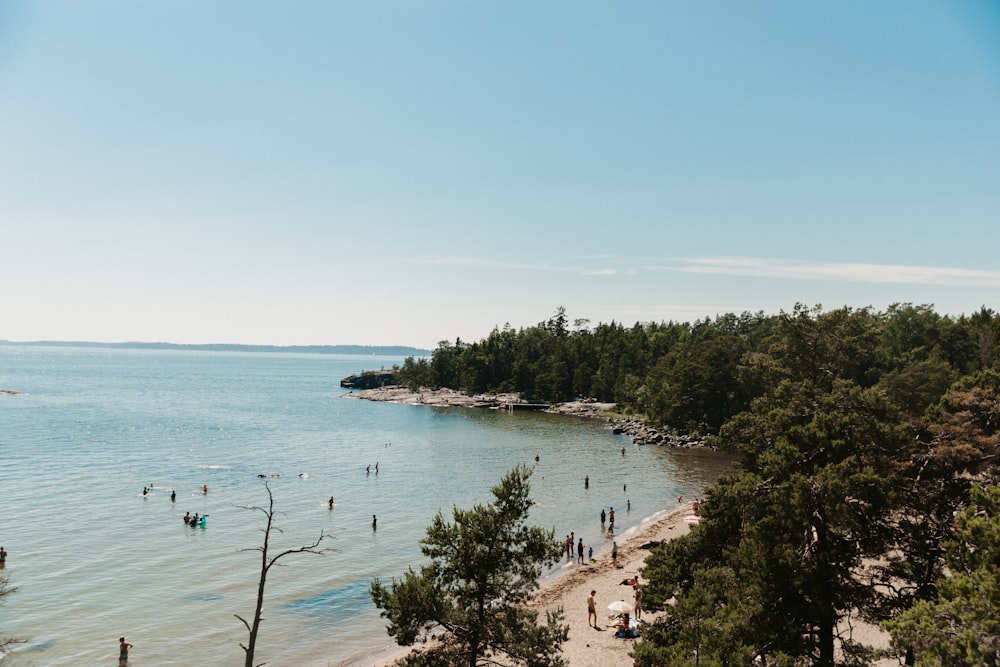 a beach with people on it