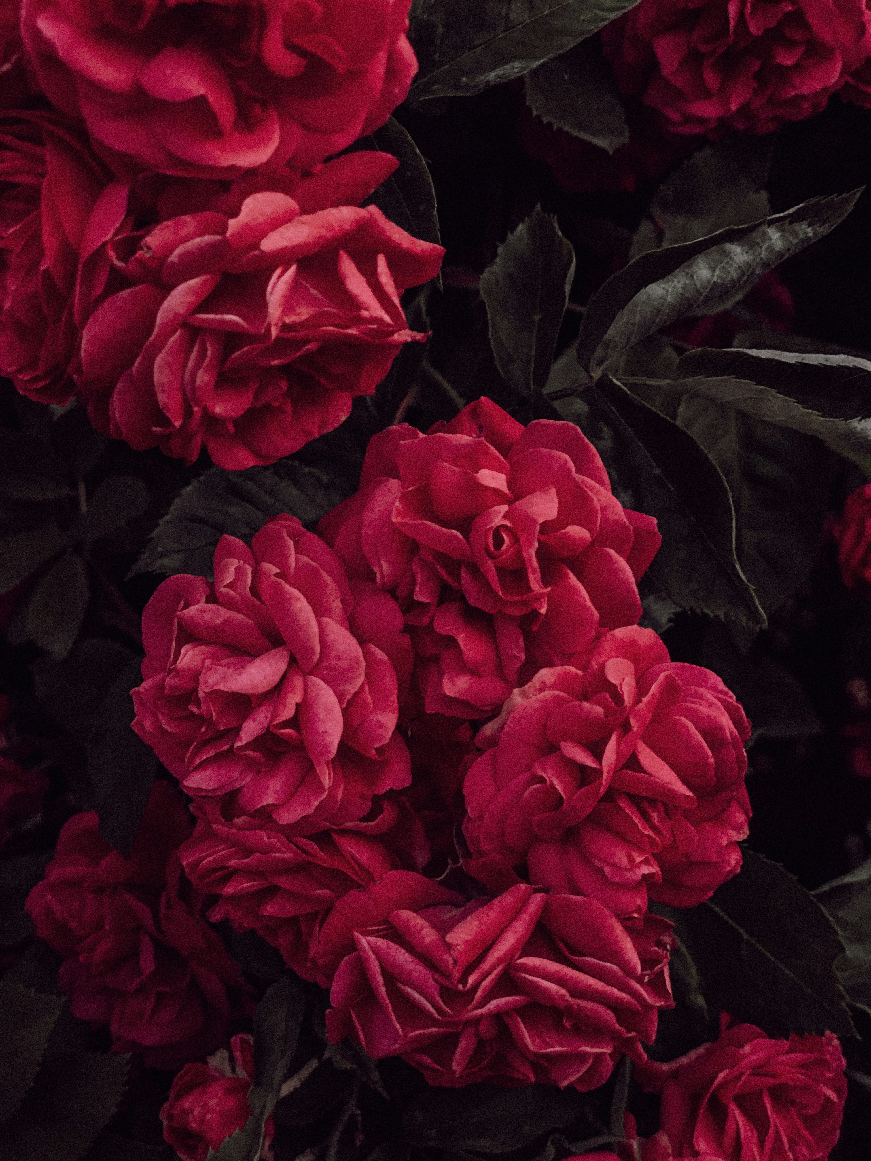 Photo by olyavelychenko