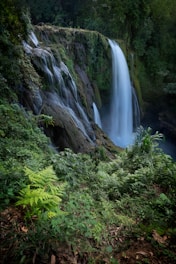 a waterfall in a forest