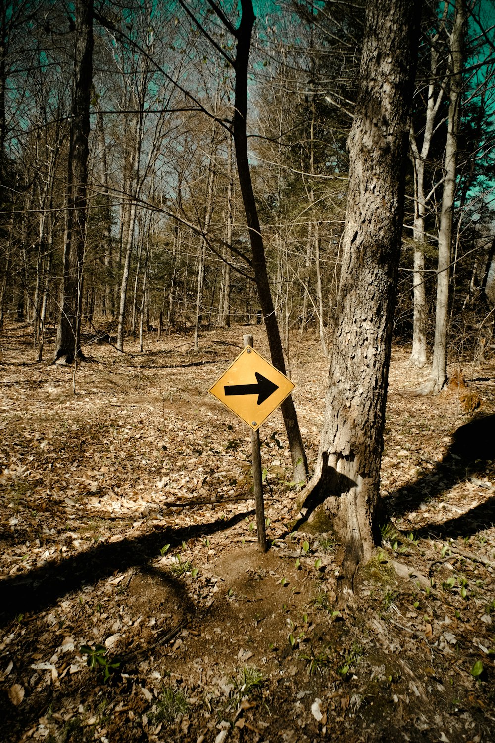 a yellow sign on a trail