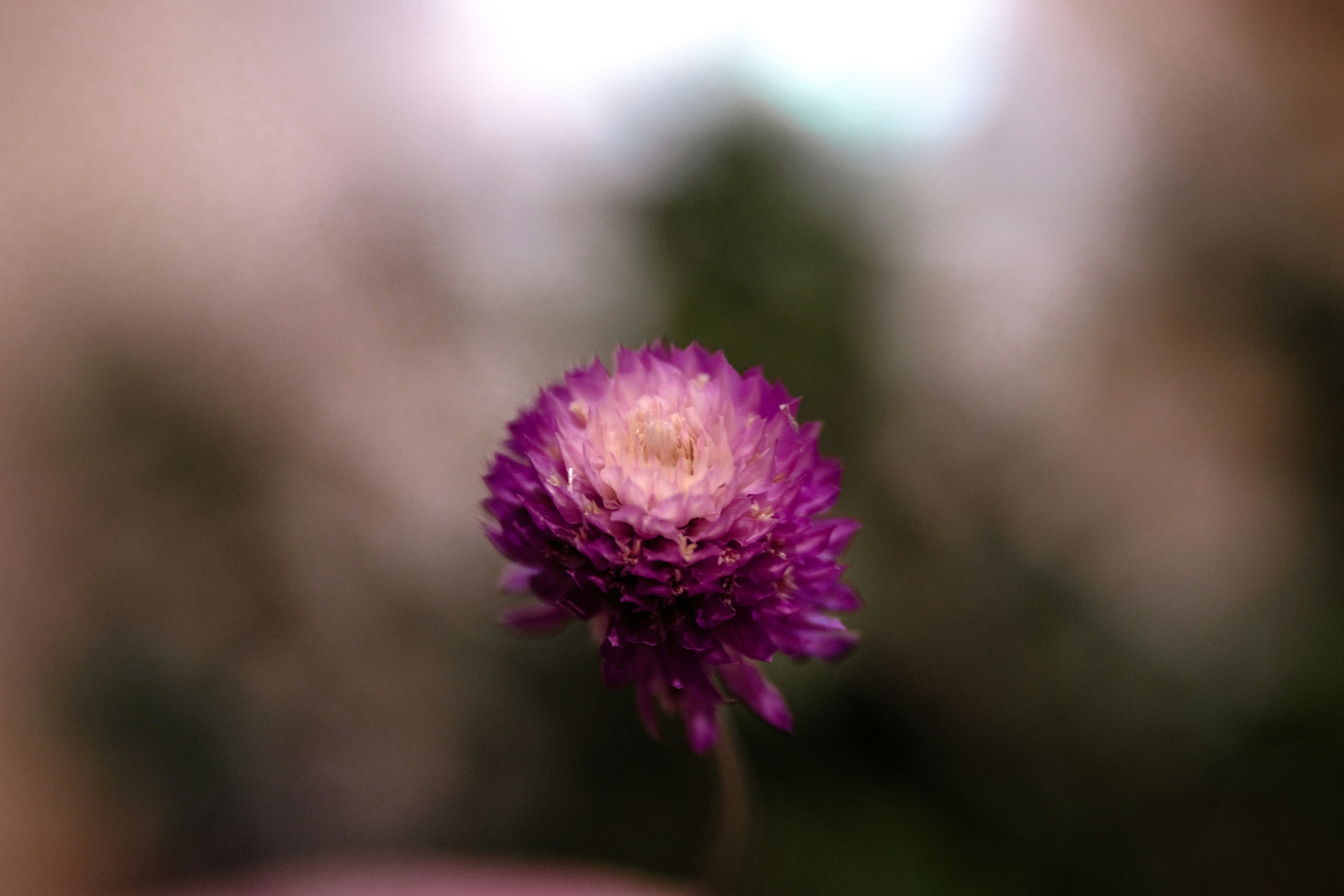 Photo by jhudsongraves