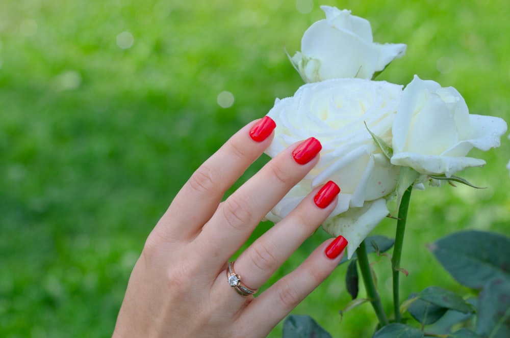 a person holding a white flower