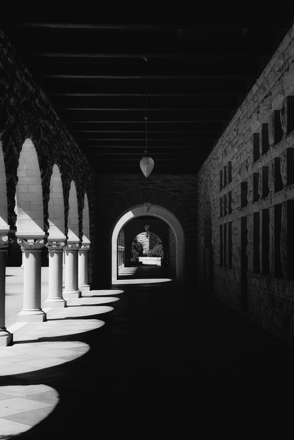 a hallway with a plant growing in the middle