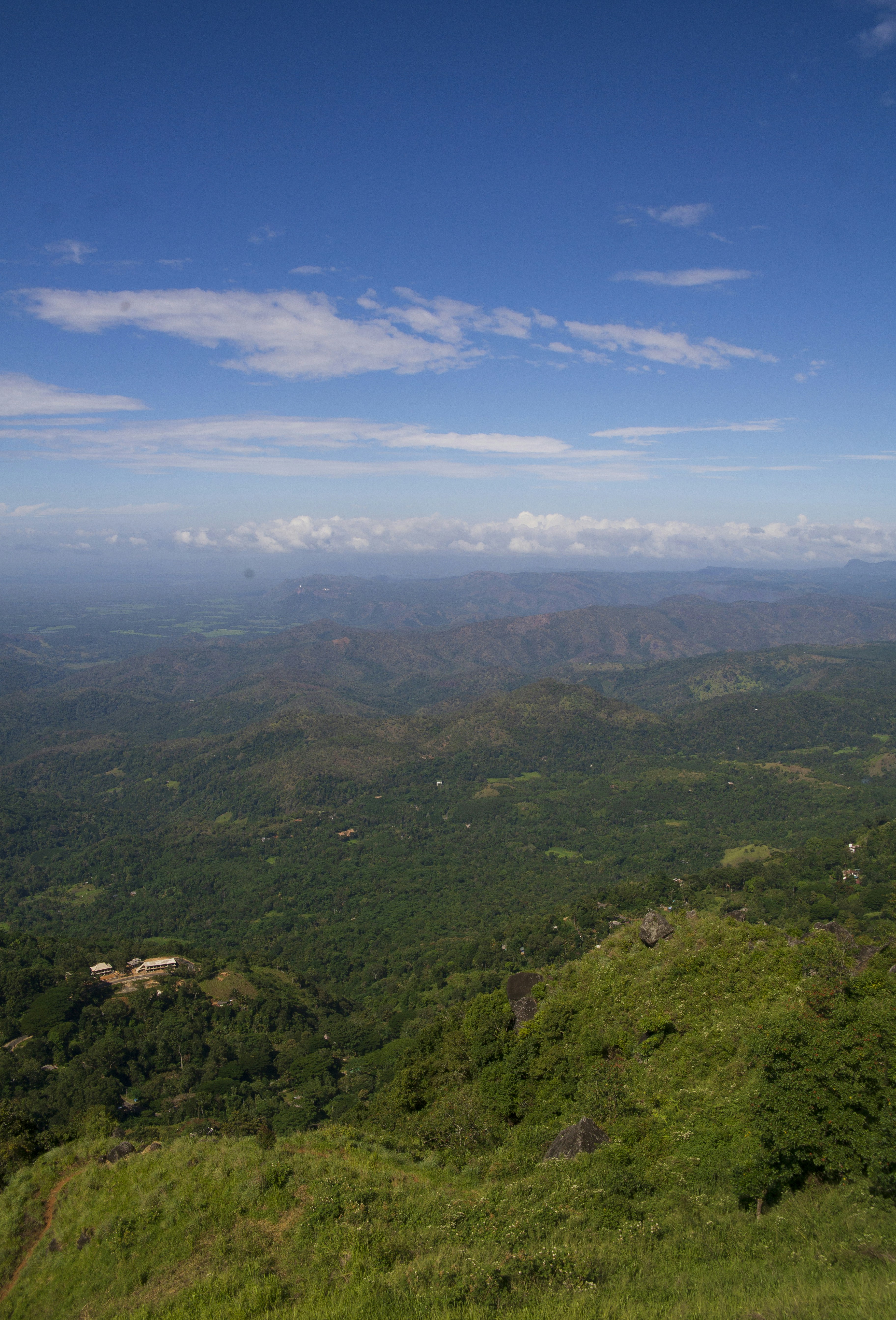 Photo by pasanjayaweera