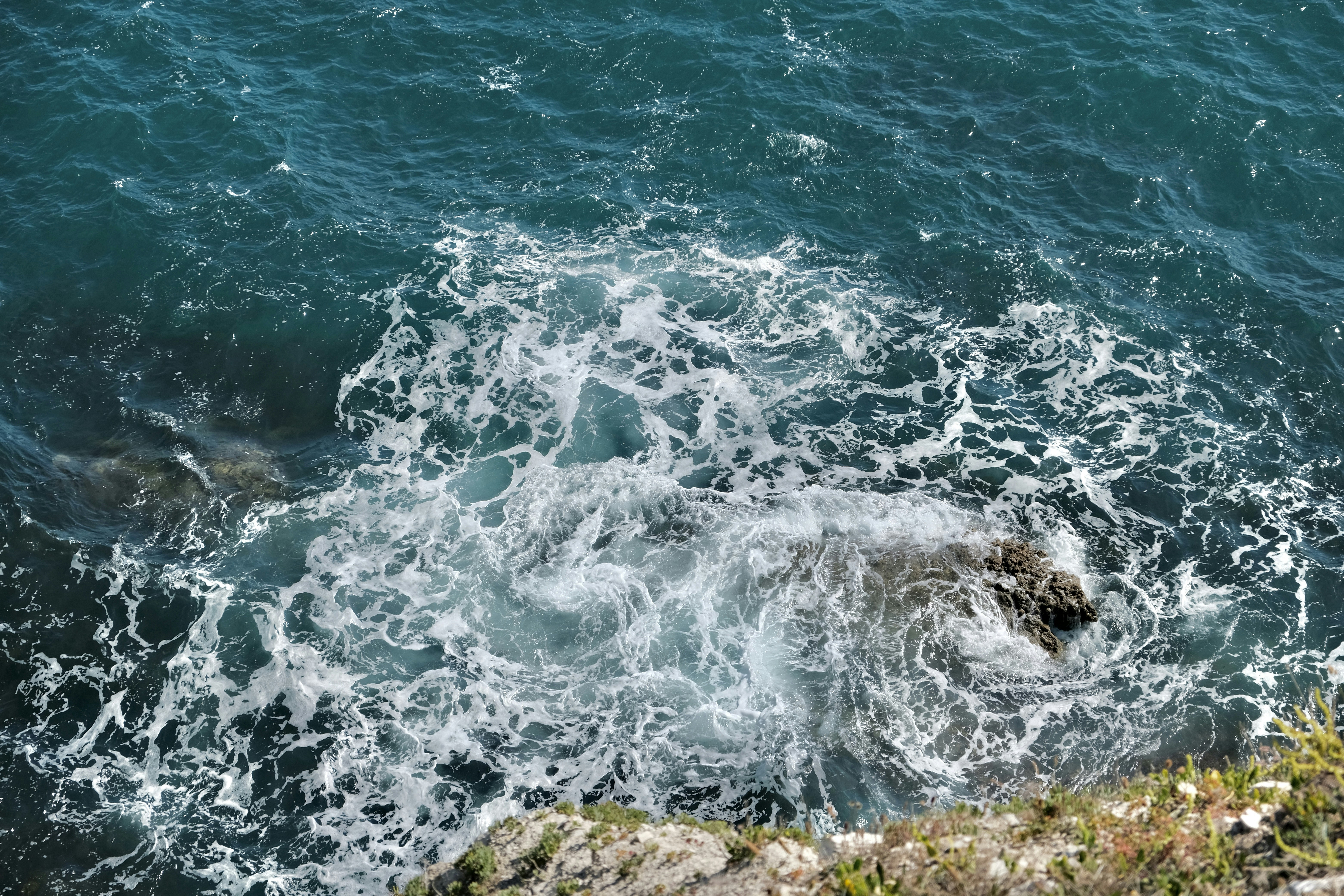 Photo by capricorn_song