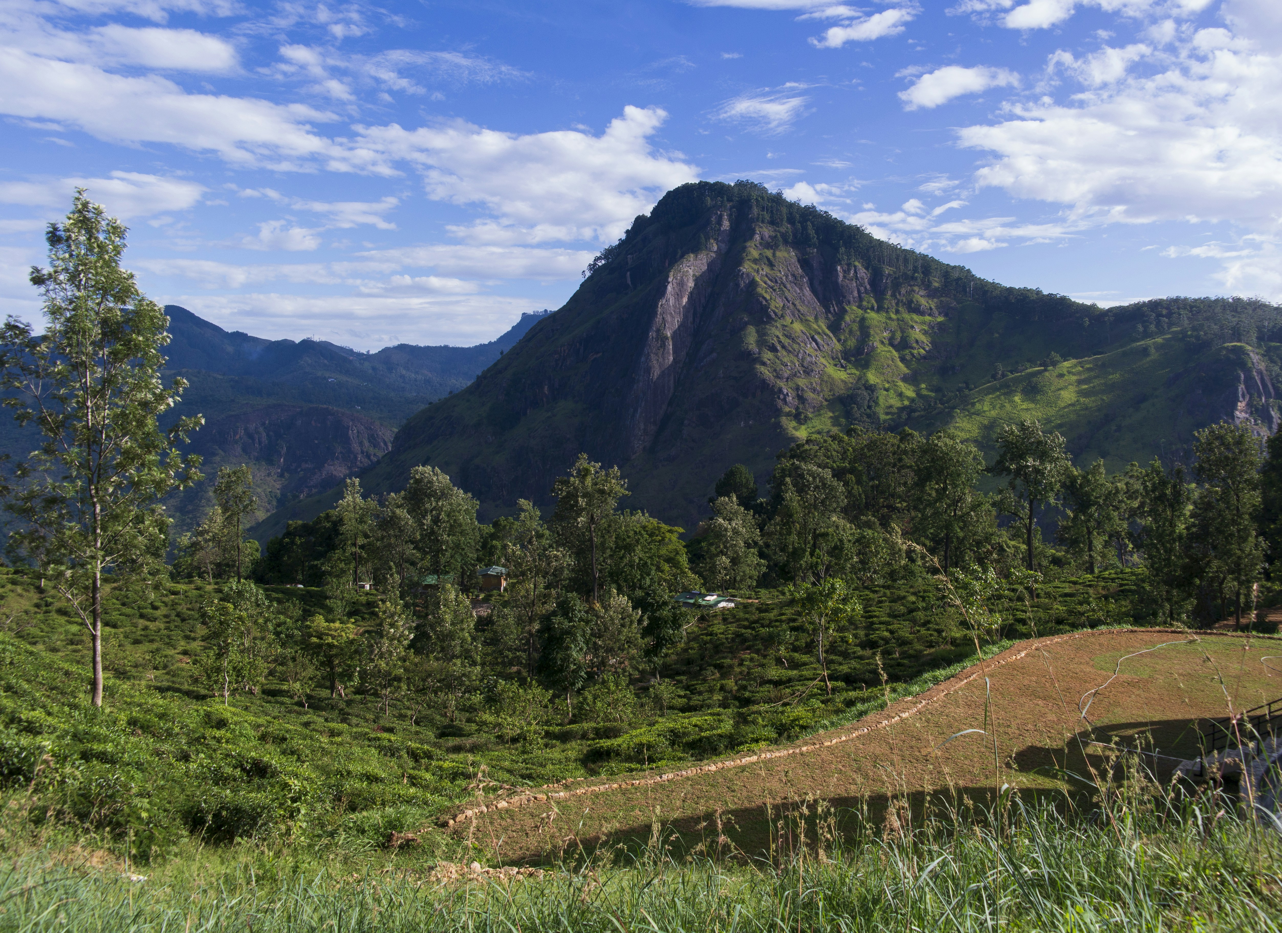 Photo by pasanjayaweera