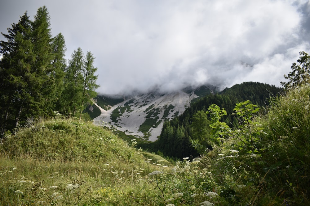 Ein Wasserfall im Wald