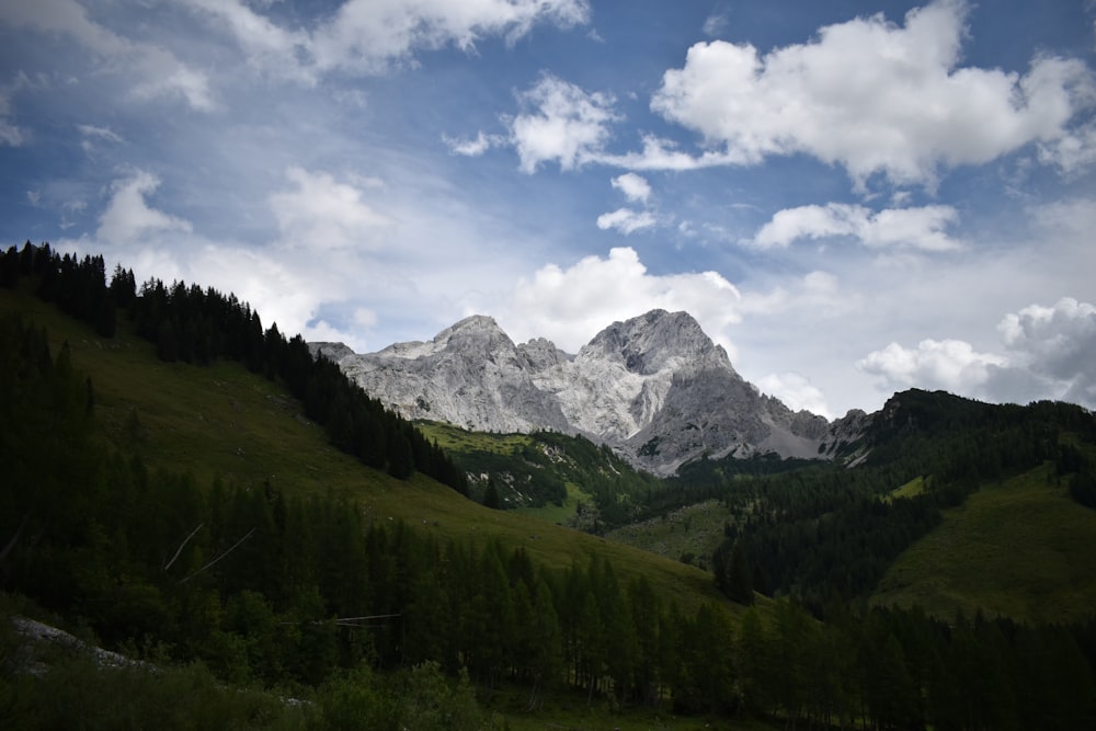 a mountain range with trees