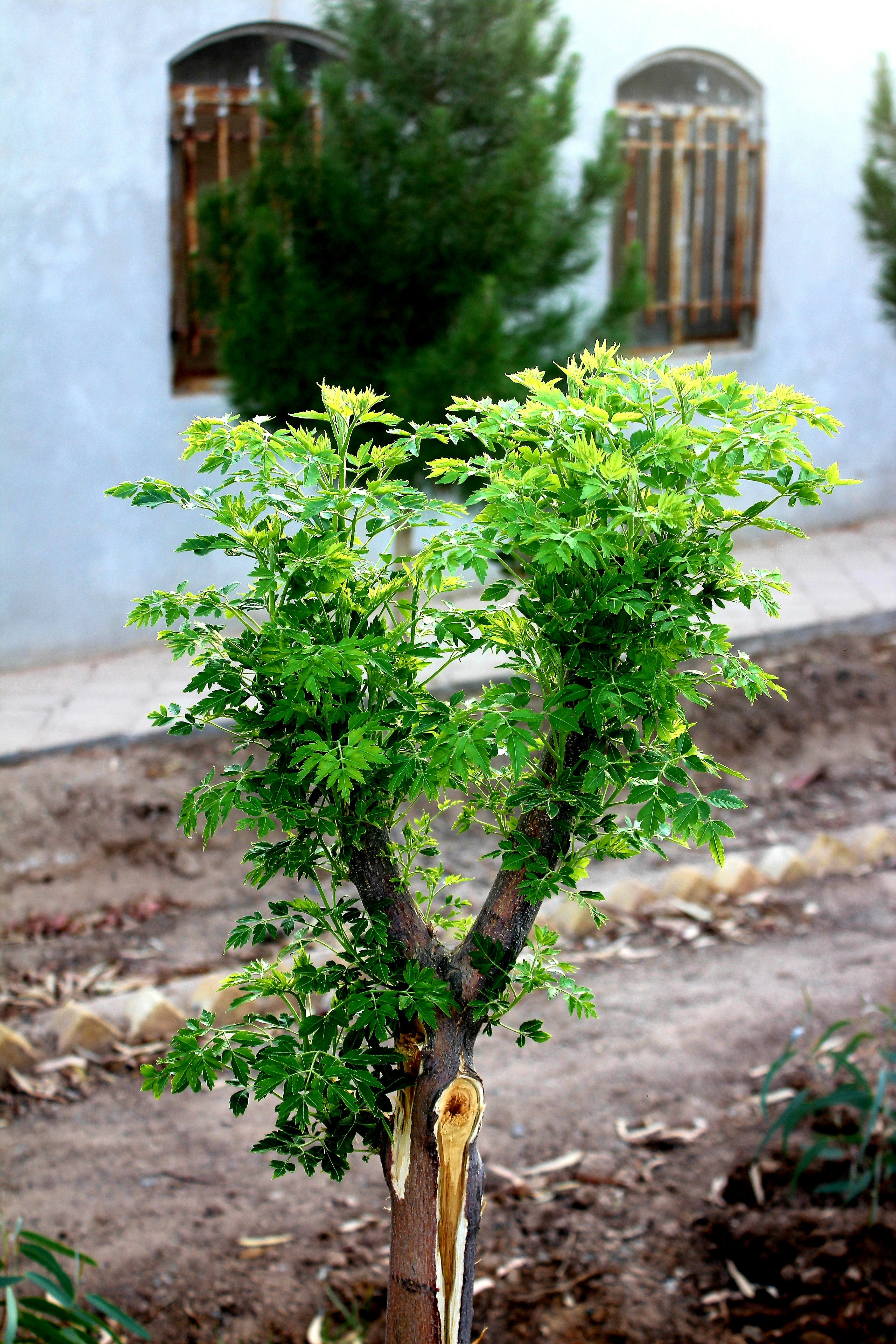 Photo by manavimoghadam