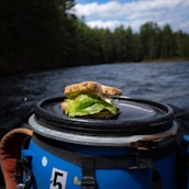 A sandwich with leafy greens and whole grain bread is placed on the lid of a blue container, with a river and dense forest in the background under a partly cloudy sky.