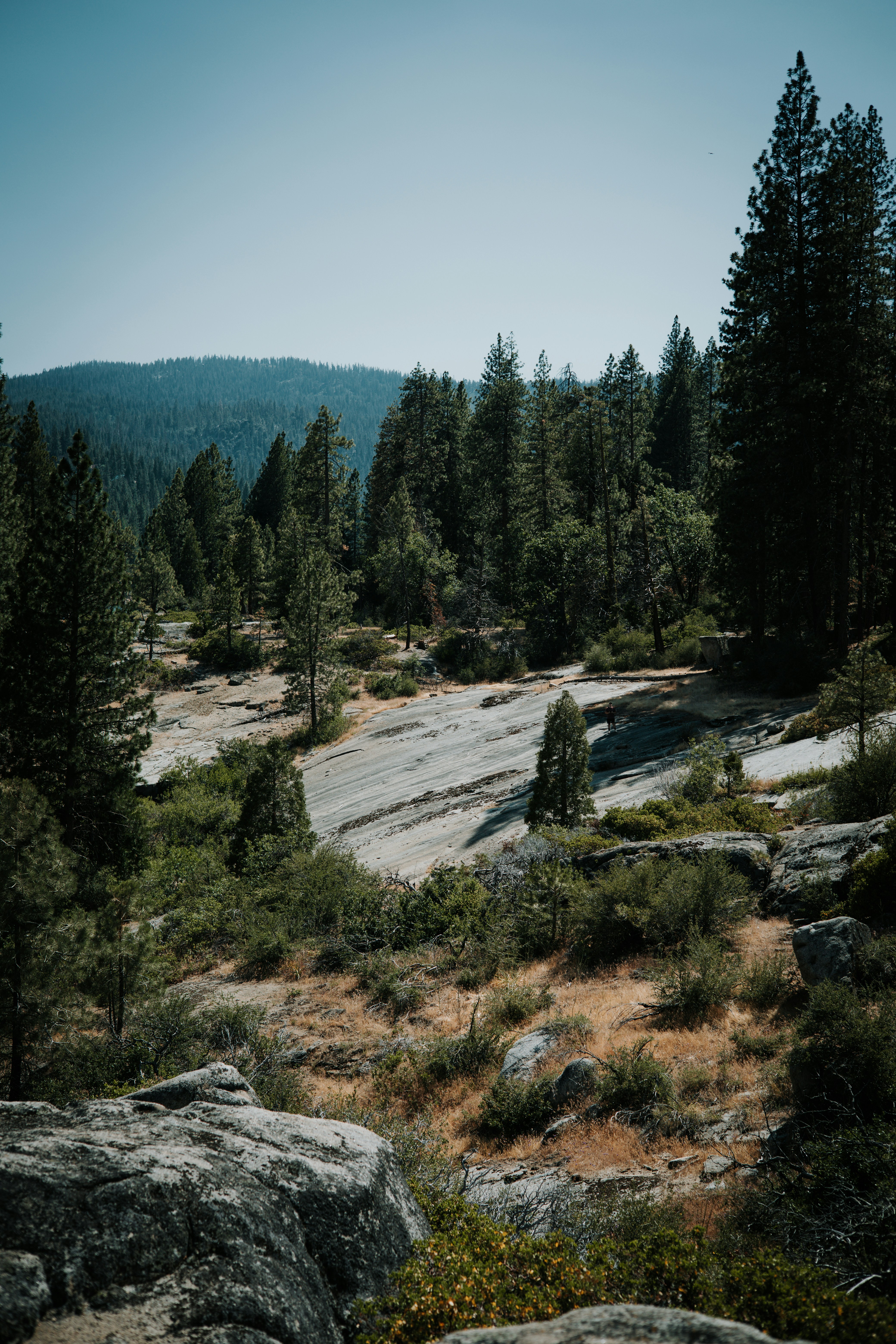 Photo by jeffersonsees