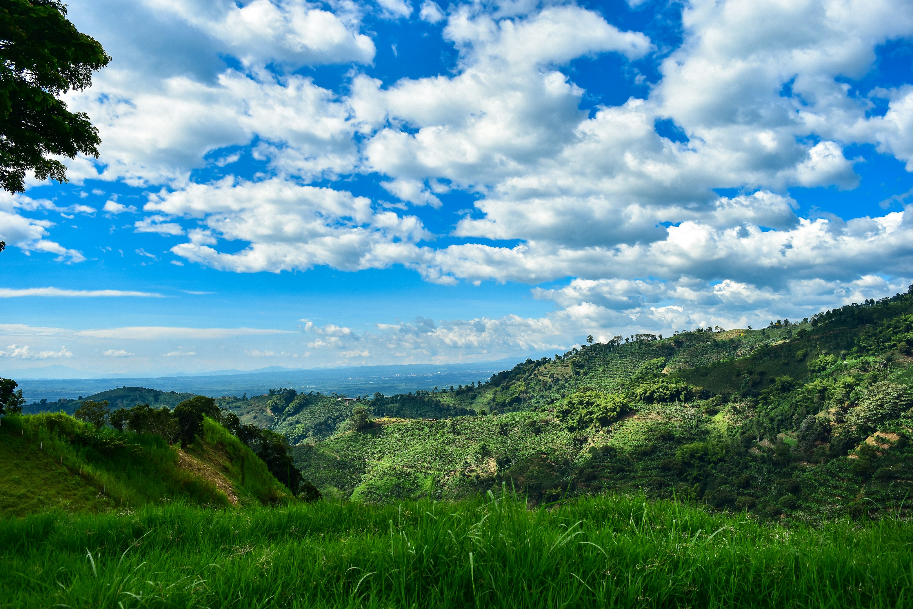 Photo by janettypa_ph