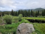 a rock in a grassy field with trees and mountains in the background