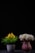 Two flower arrangements are placed side by side against a dark background. The left arrangement features yellow flowers with green foliage in a white pot. The right arrangement consists of white and pink roses in a textured pink vase, tied with a string.