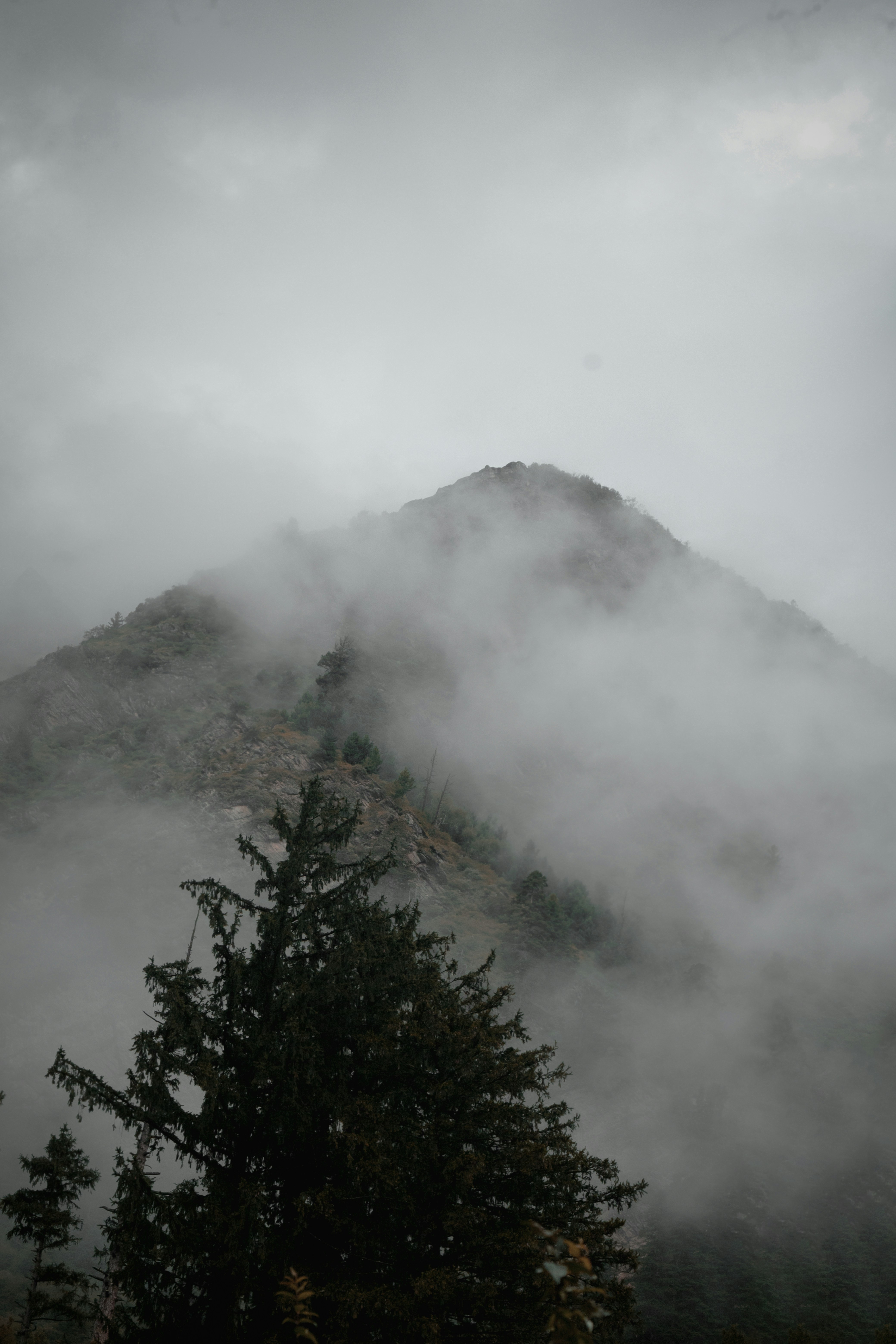 Photo by ashokjkshetri