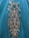 Intricate floral embroidery adorns a teal fabric, featuring gold and shimmering blue accents.