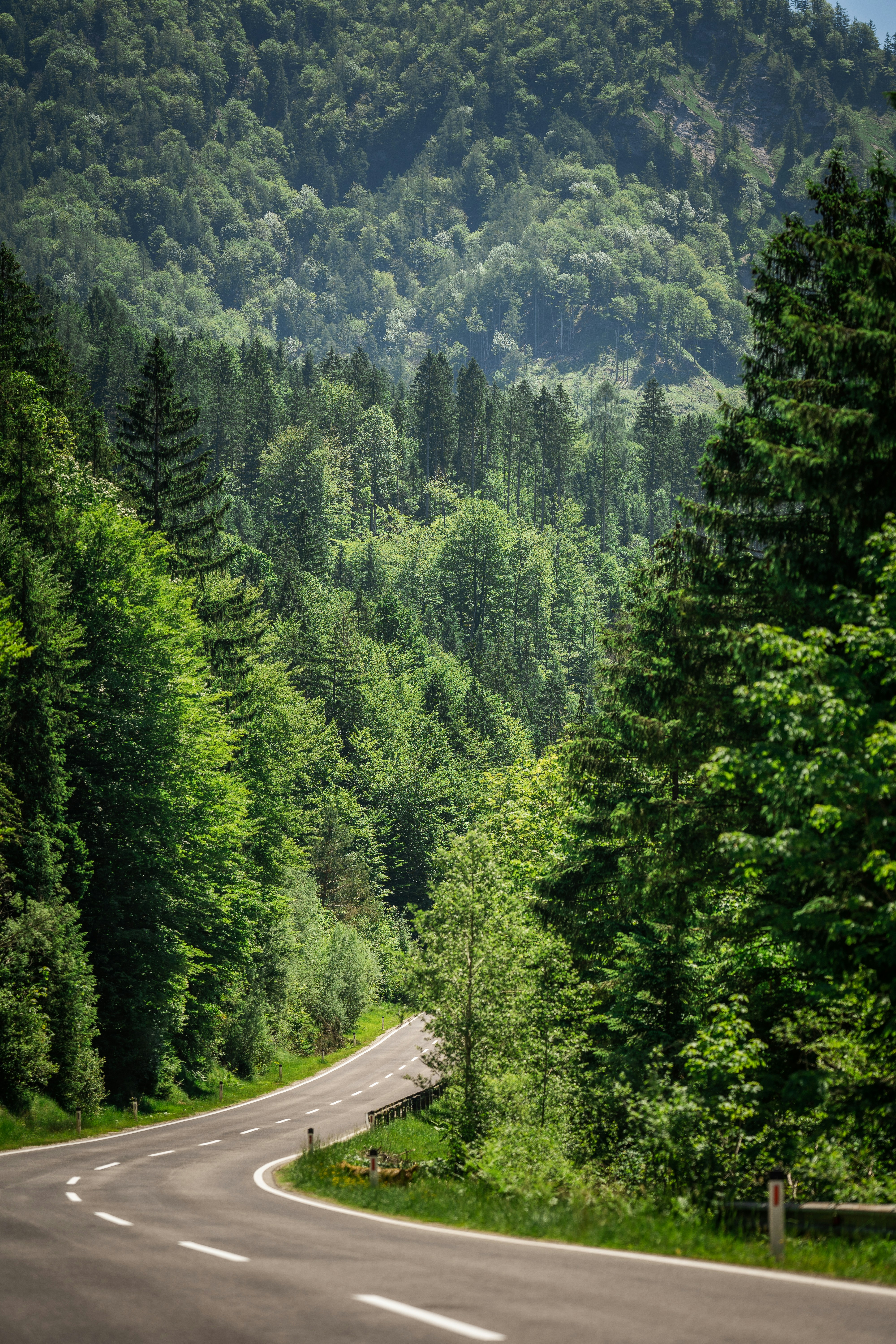 Photo by omarvellous14