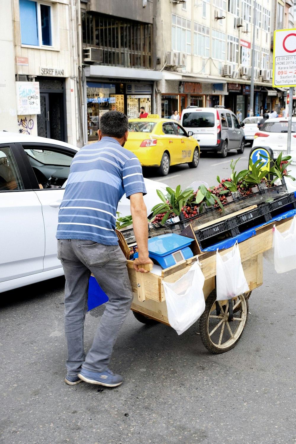 uma pessoa empurrando um carrinho cheio de plantas