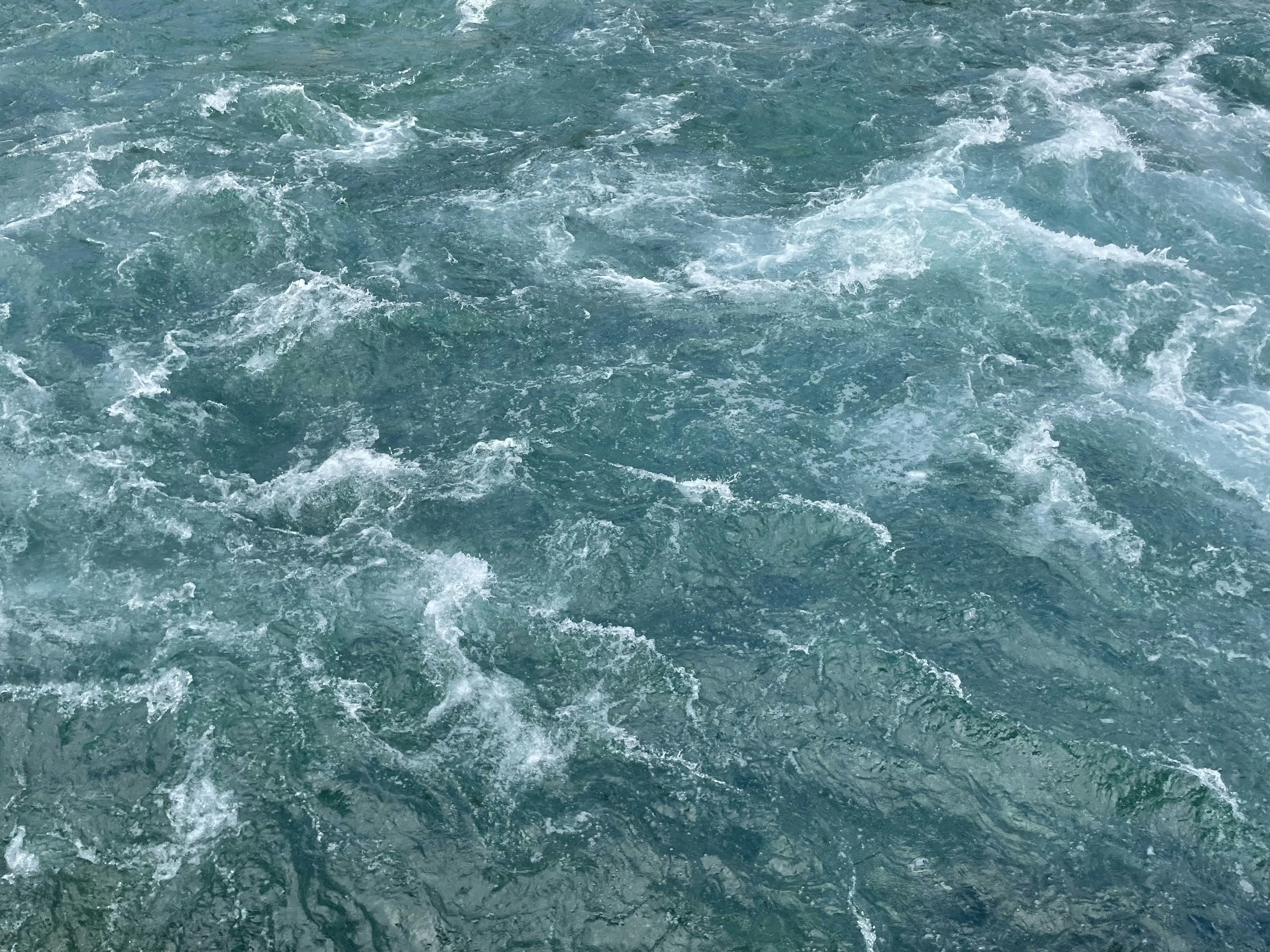 Photo by sabrinaloftus