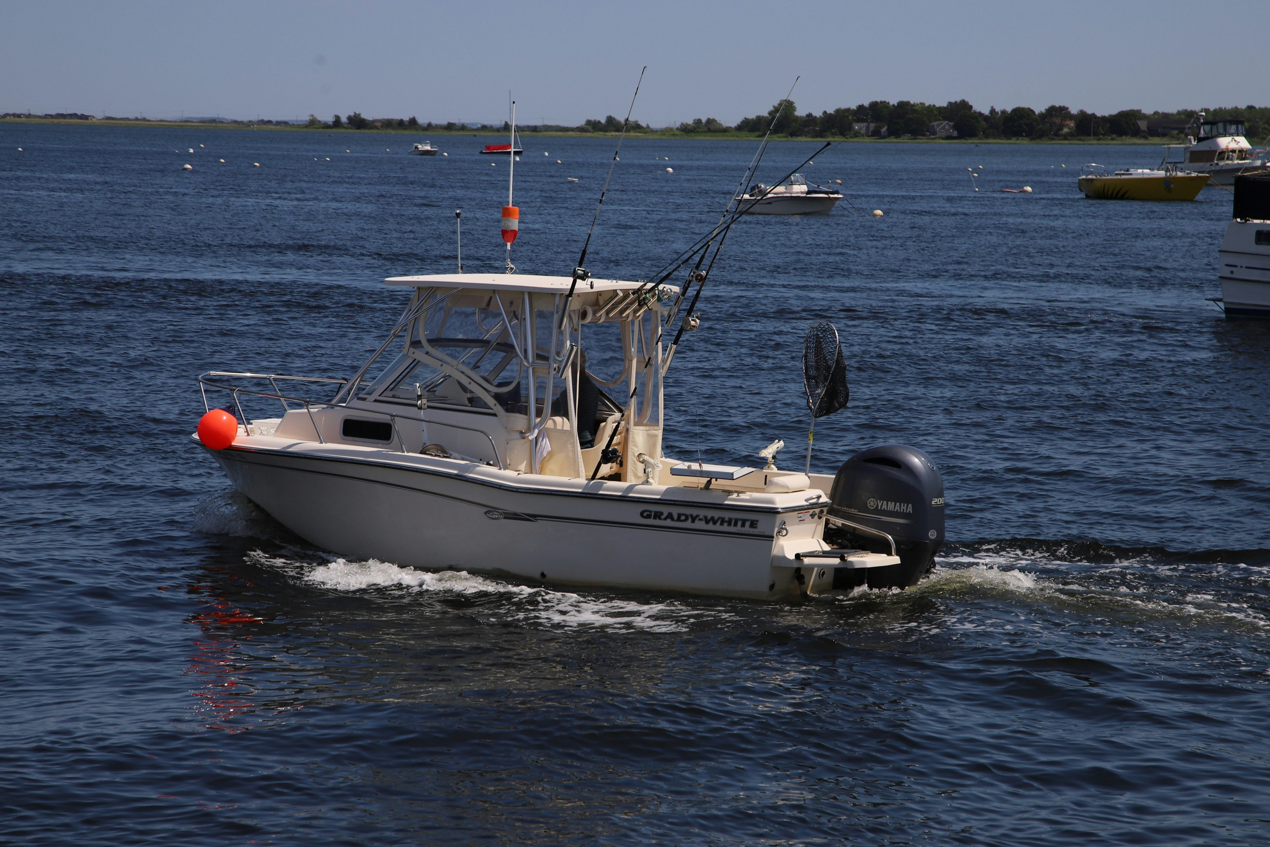 Trivia nights in Salisbury, United Kingdom